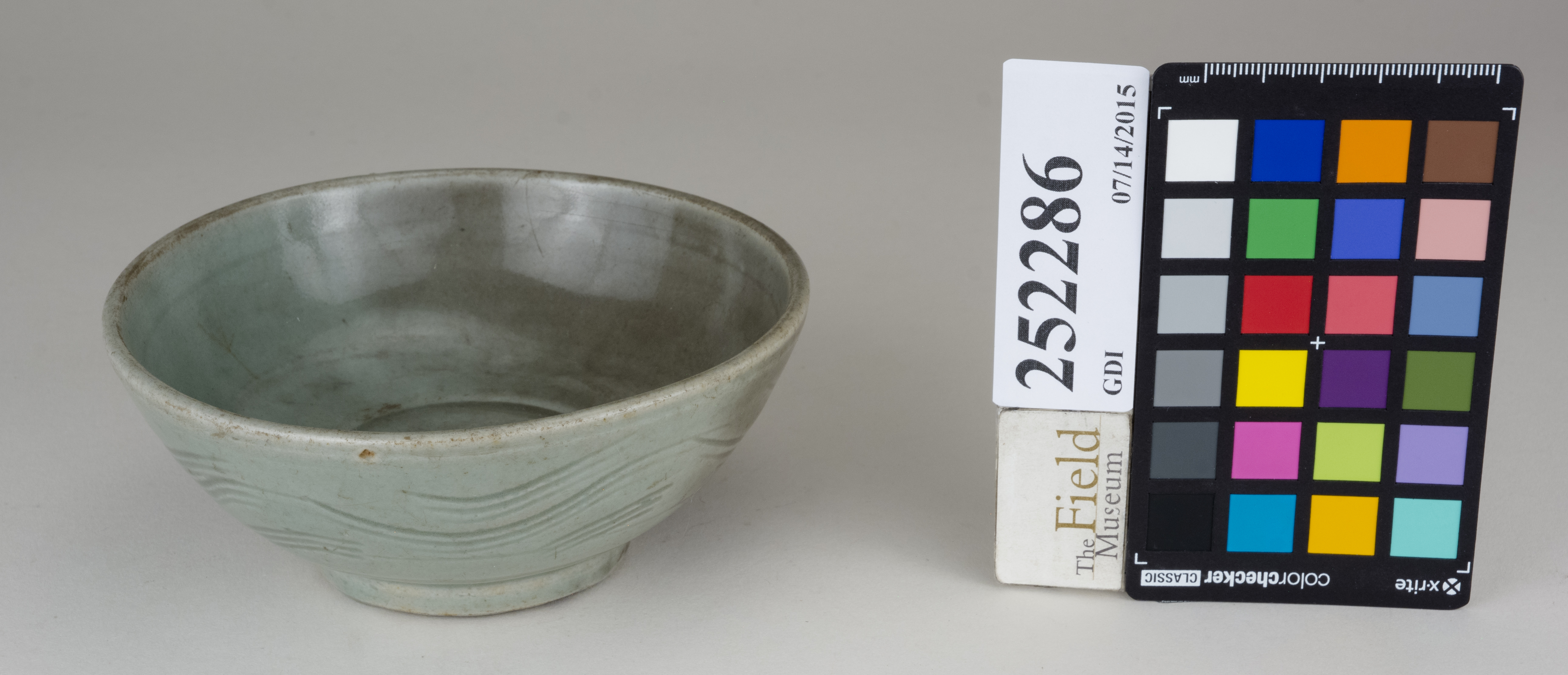 FrontAngle (c) Field Museum of Natural History - CC BY-NC 4.0