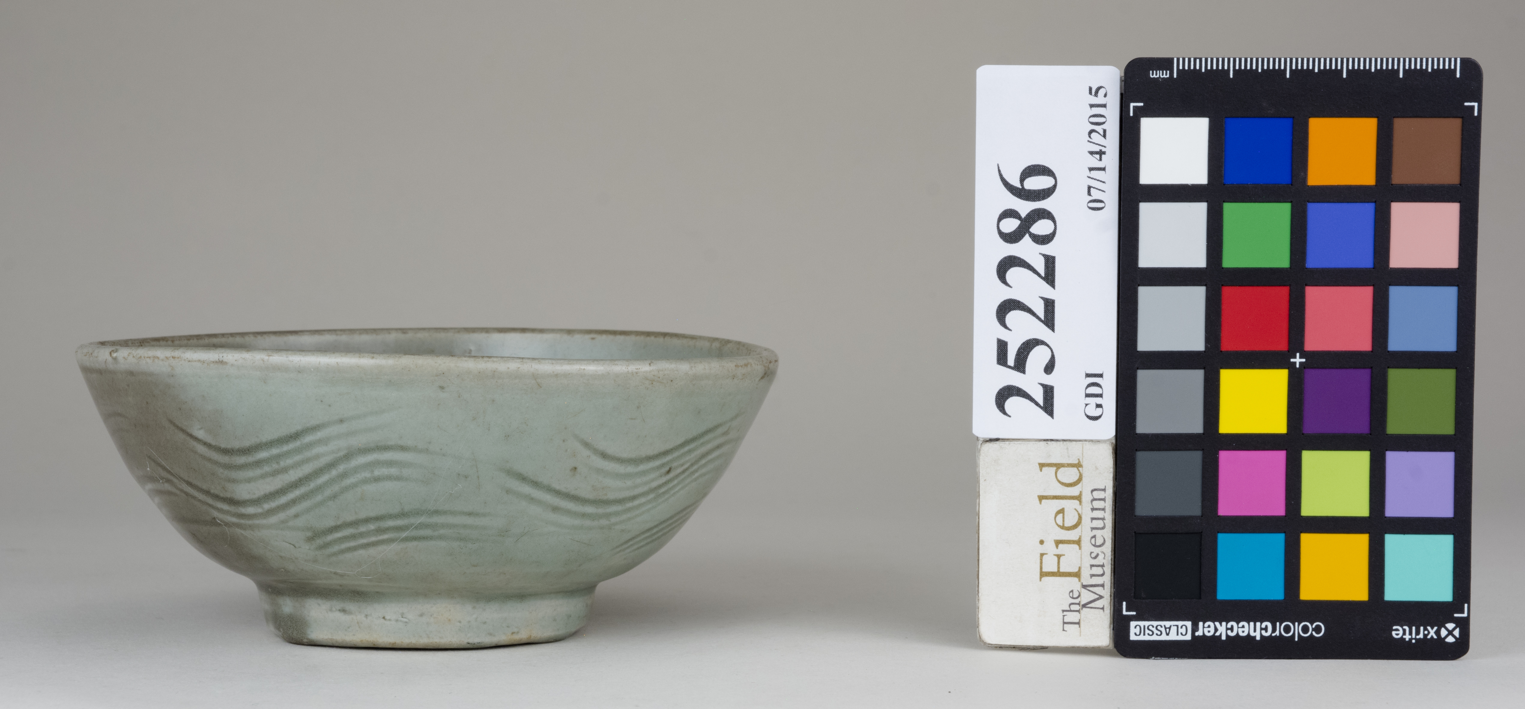 Right (c) Field Museum of Natural History - CC BY-NC 4.0