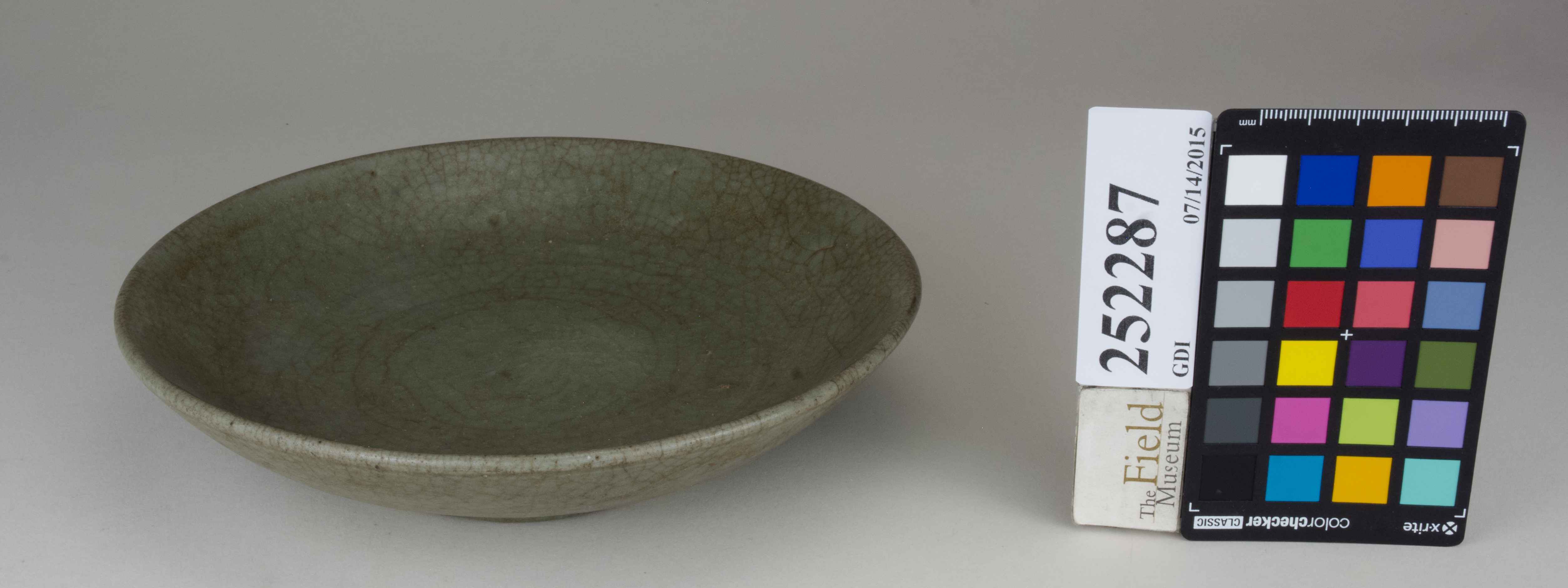 FrontAngle (c) Field Museum of Natural History - CC BY-NC 4.0