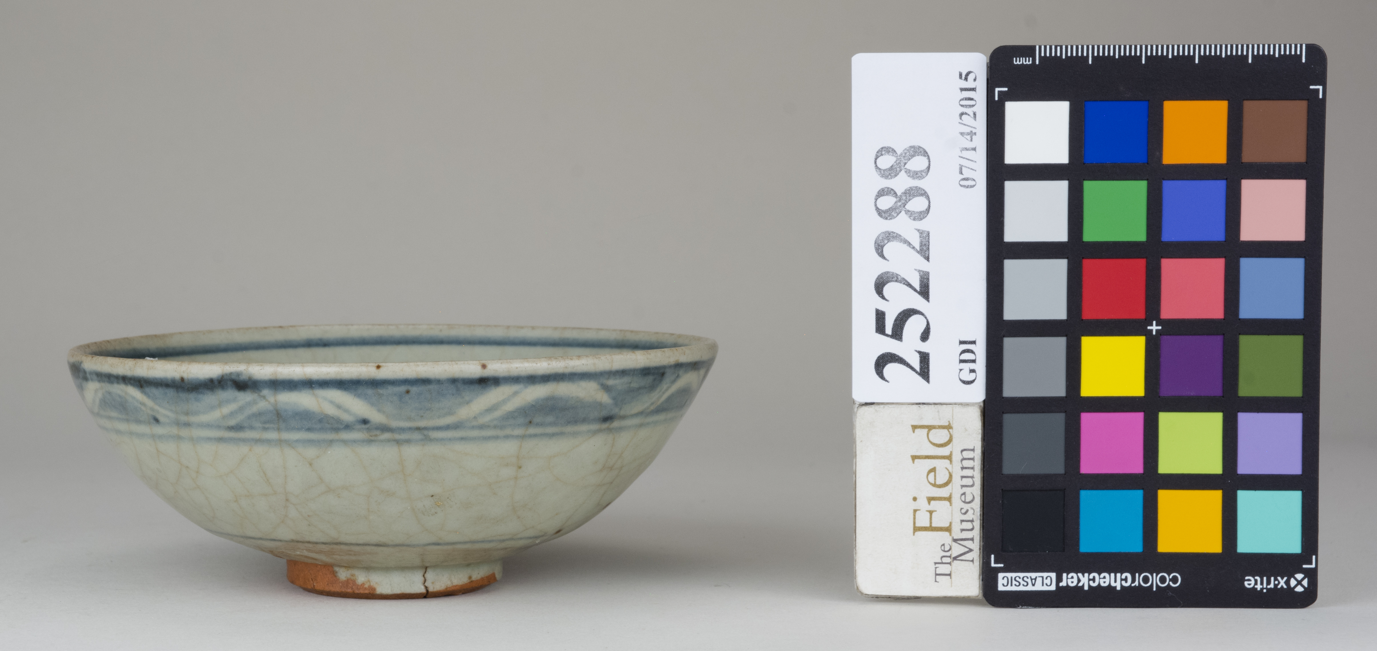 reference image, back (c) Field Museum of Natural History - CC BY-NC 4.0