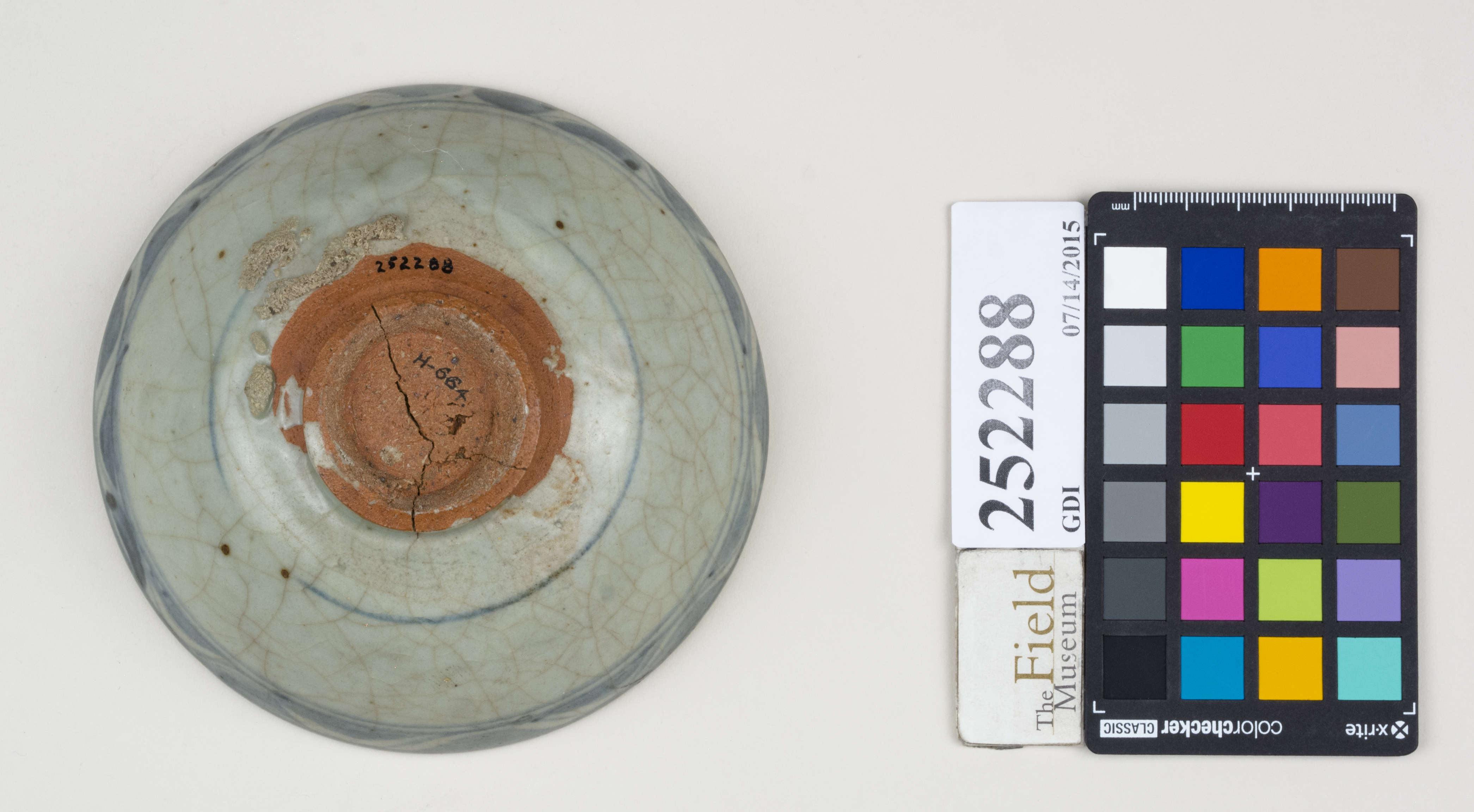 Bottom (c) Field Museum of Natural History - CC BY-NC 4.0