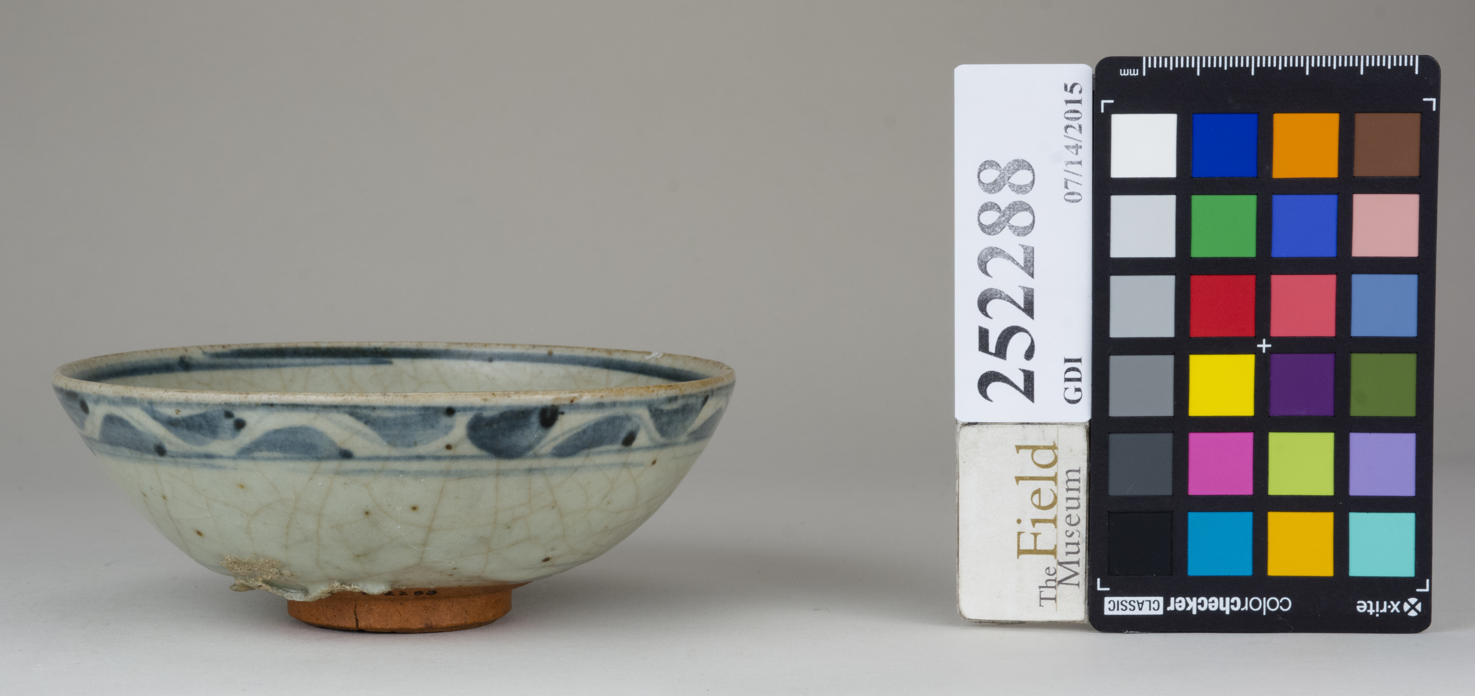 Front (c) Field Museum of Natural History - CC BY-NC 4.0