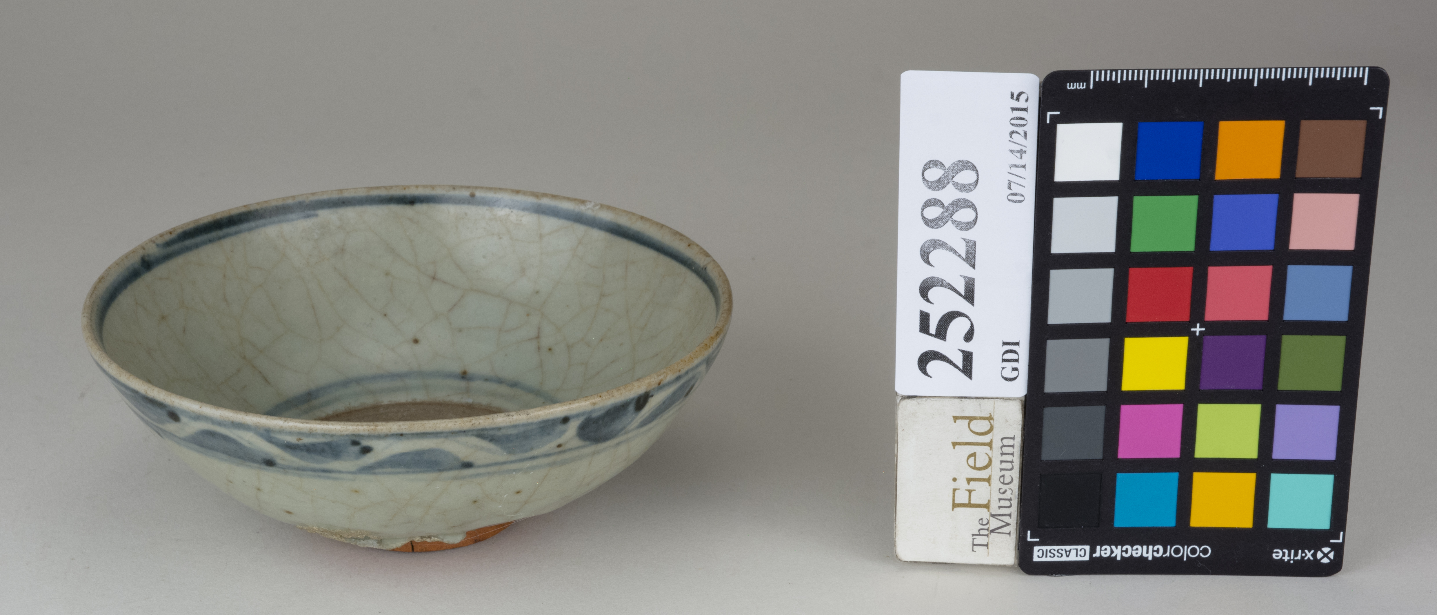 FrontAngle (c) Field Museum of Natural History - CC BY-NC 4.0