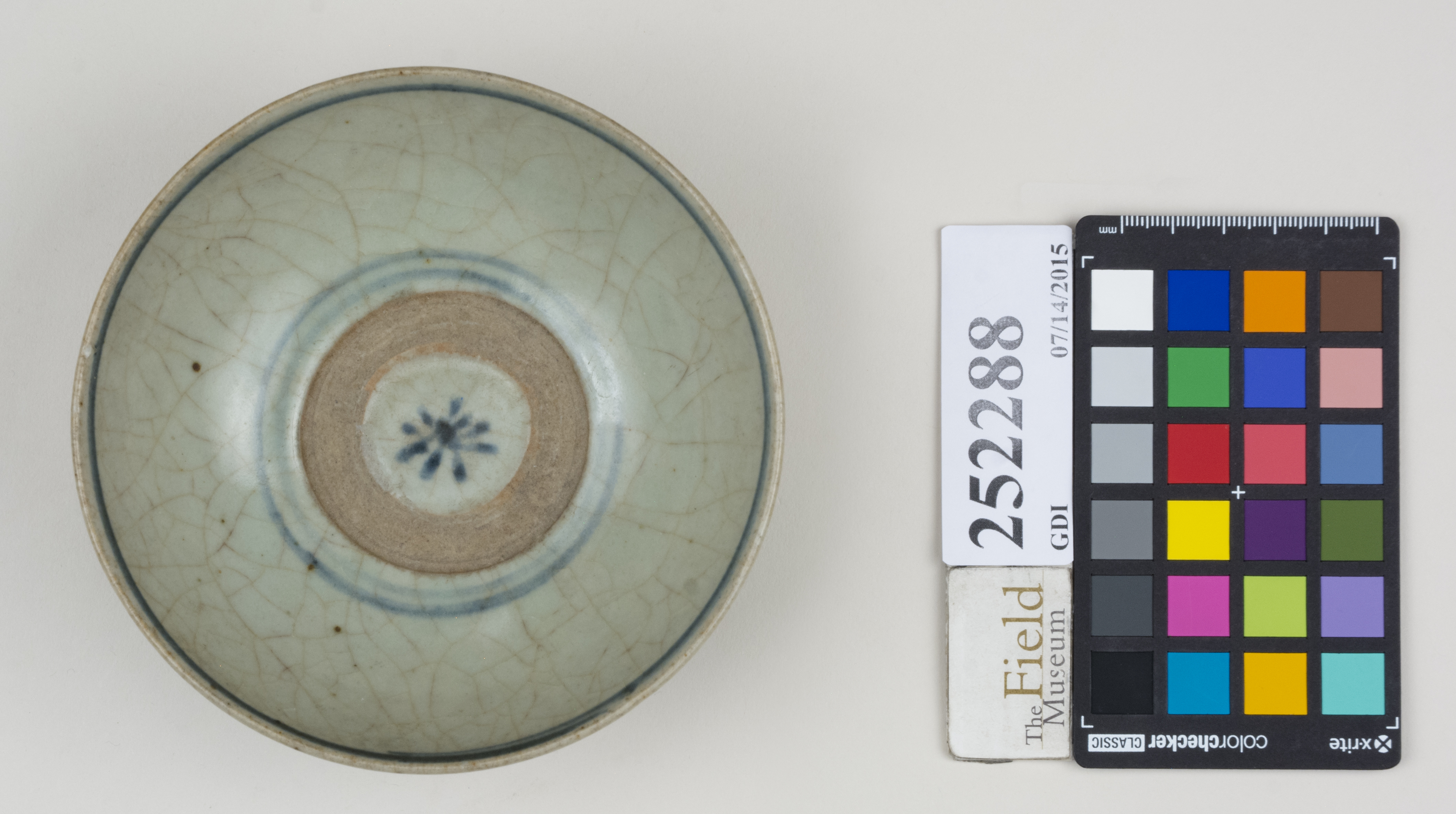 Top (c) Field Museum of Natural History - CC BY-NC 4.0