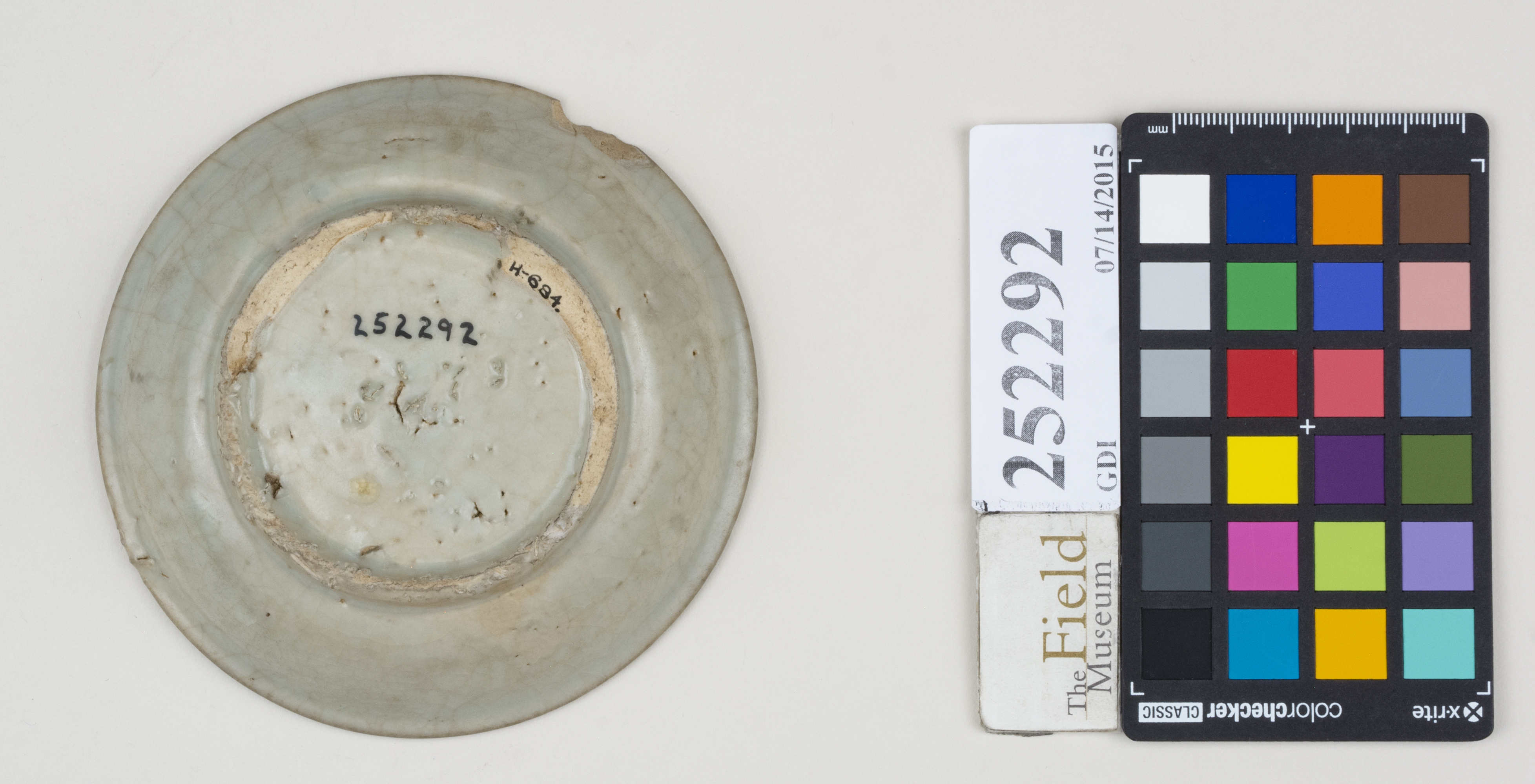 Bottom (c) Field Museum of Natural History - CC BY-NC 4.0