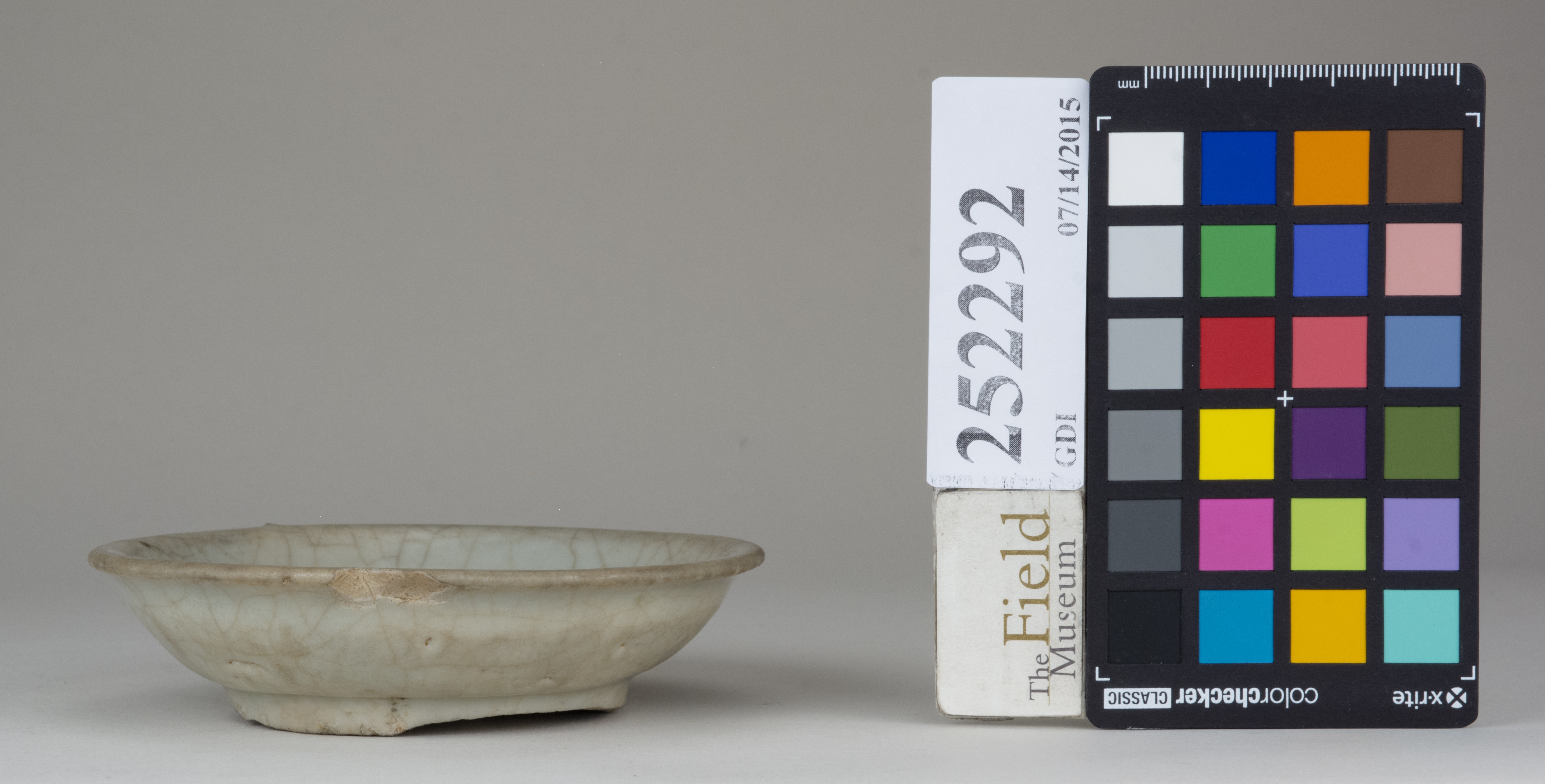 Front (c) Field Museum of Natural History - CC BY-NC 4.0