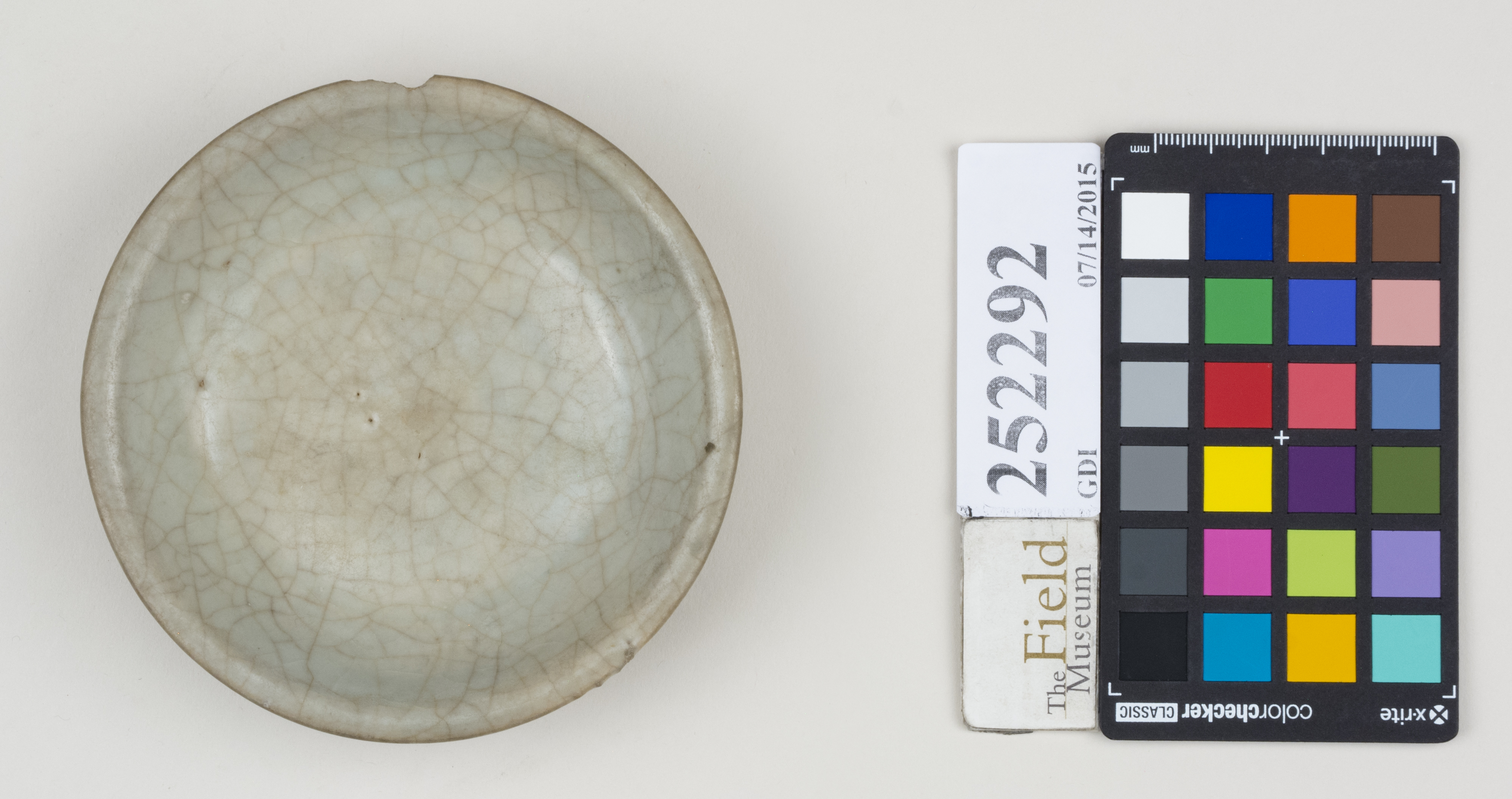 Top (c) Field Museum of Natural History - CC BY-NC 4.0