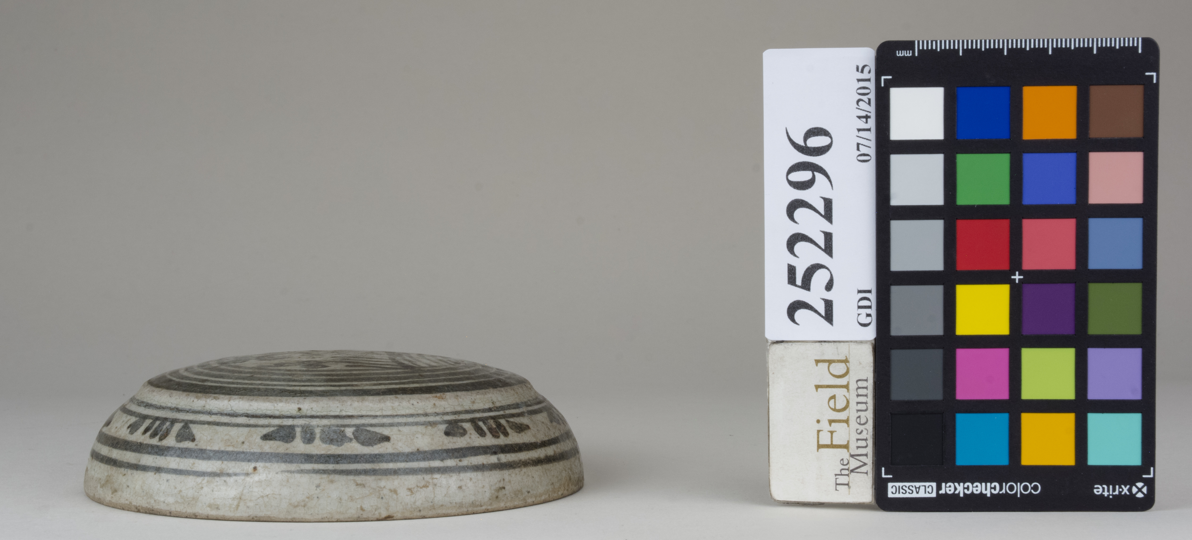 Right (c) Field Museum of Natural History - CC BY-NC 4.0