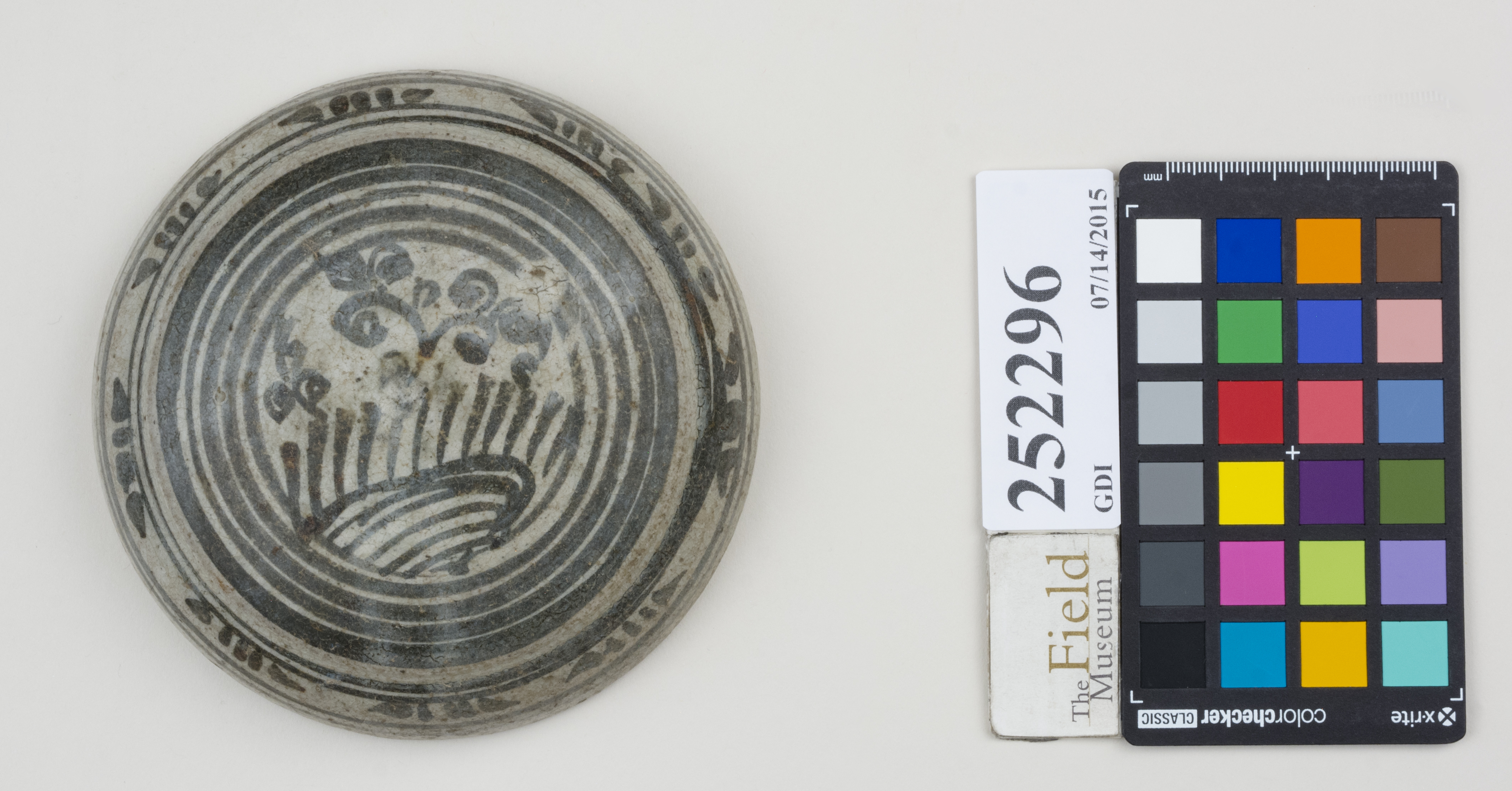 Top (c) Field Museum of Natural History - CC BY-NC 4.0