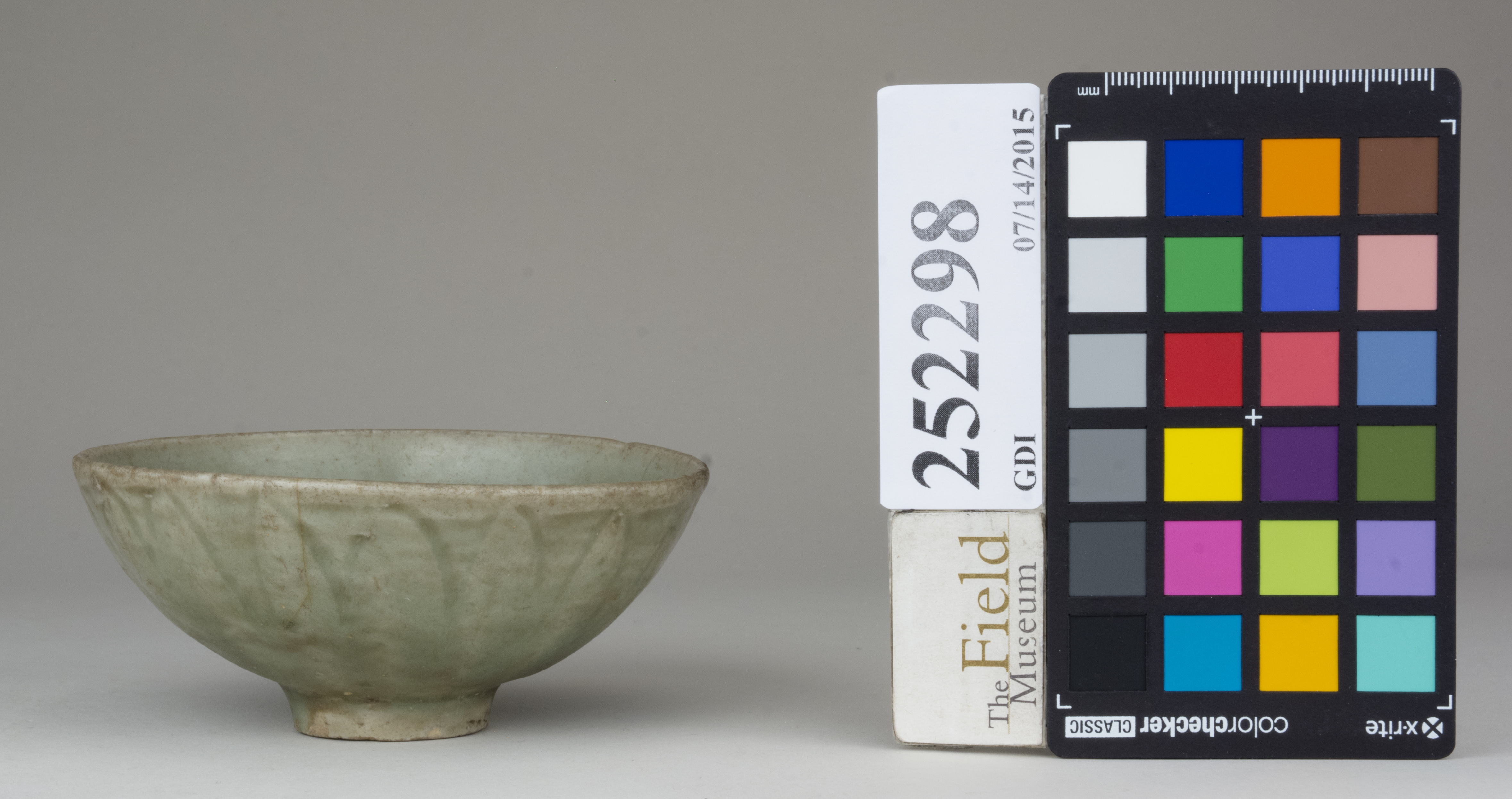 reference image, back (c) Field Museum of Natural History - CC BY-NC 4.0