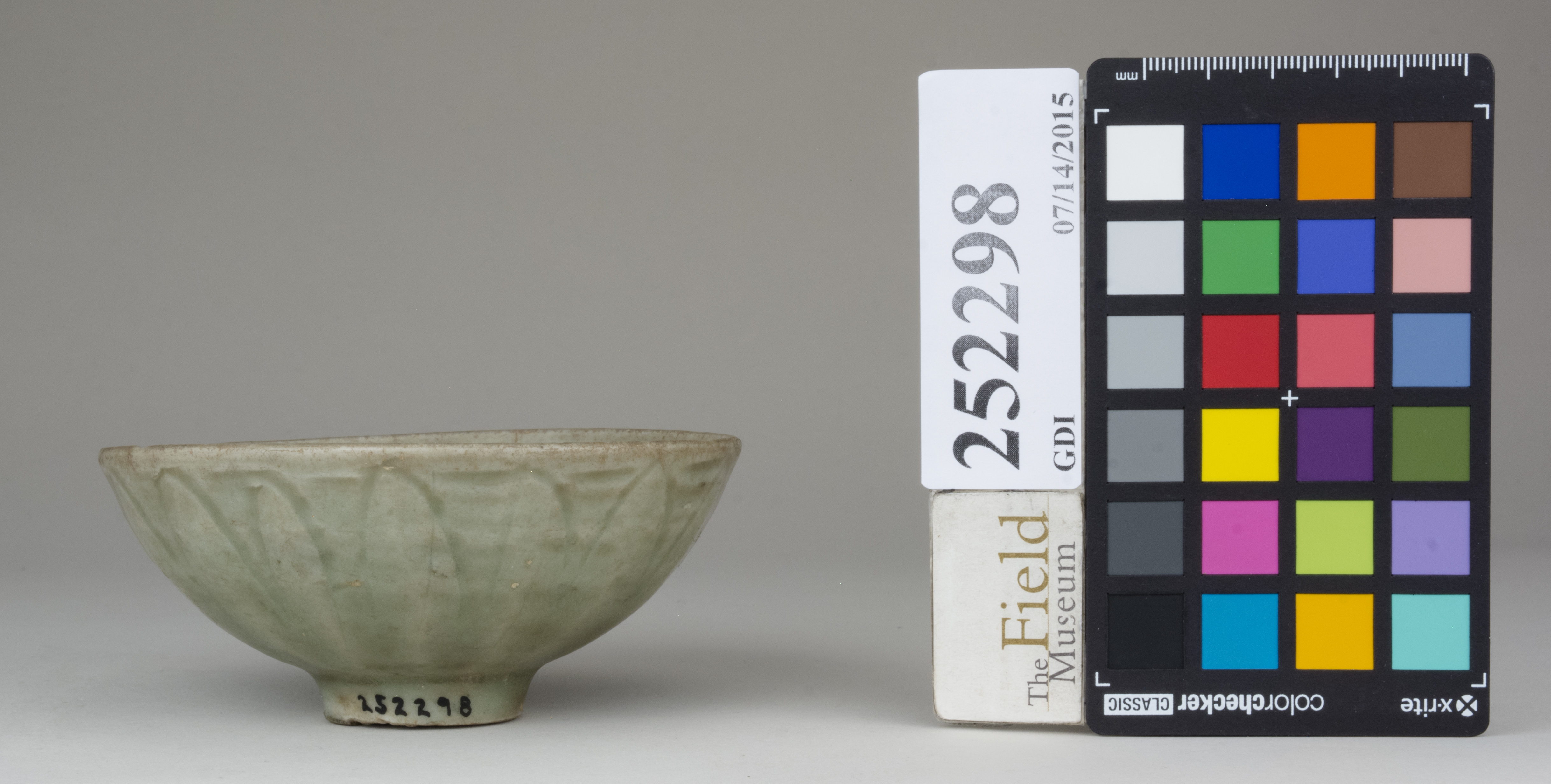 Front (c) Field Museum of Natural History - CC BY-NC 4.0