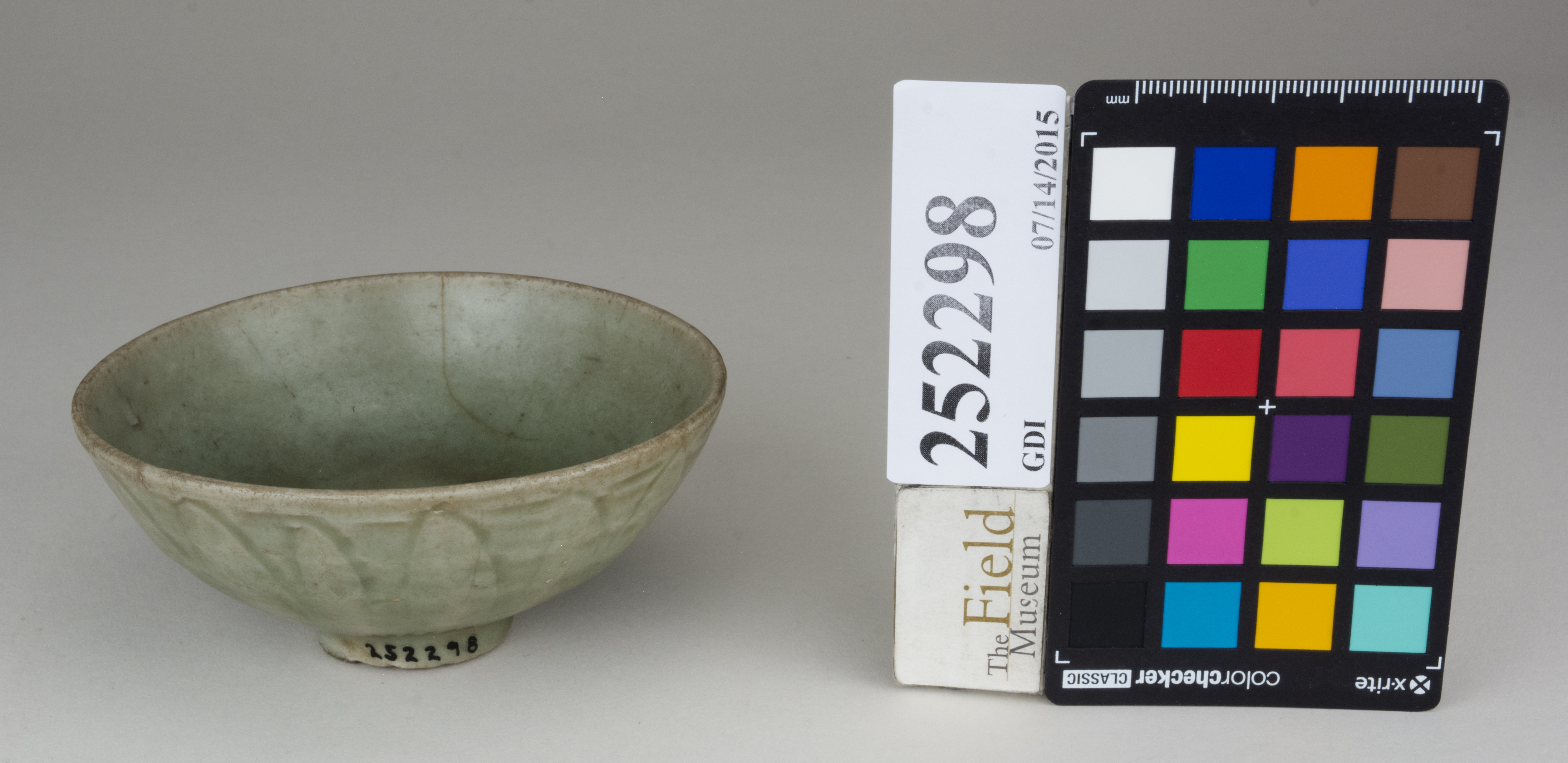 FrontAngle (c) Field Museum of Natural History - CC BY-NC 4.0