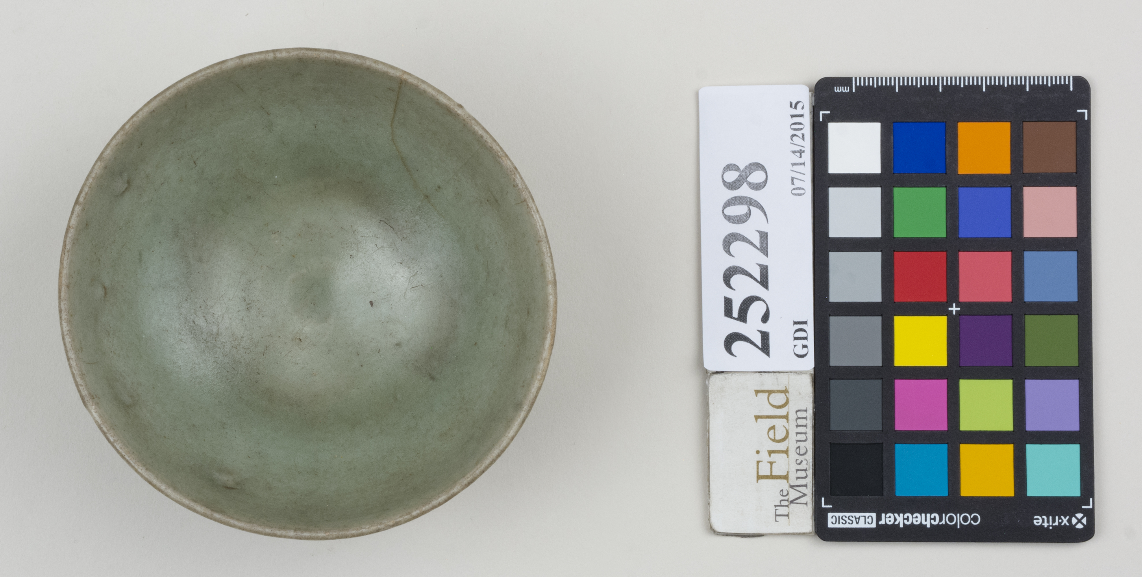 Top (c) Field Museum of Natural History - CC BY-NC 4.0