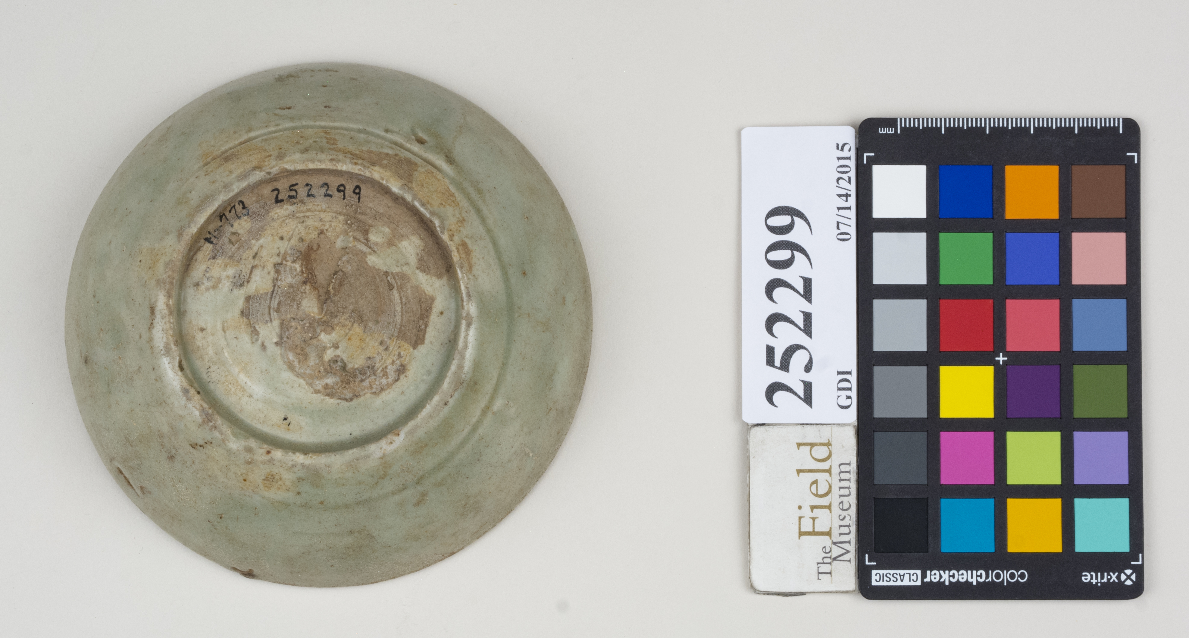 Bottom (c) Field Museum of Natural History - CC BY-NC 4.0