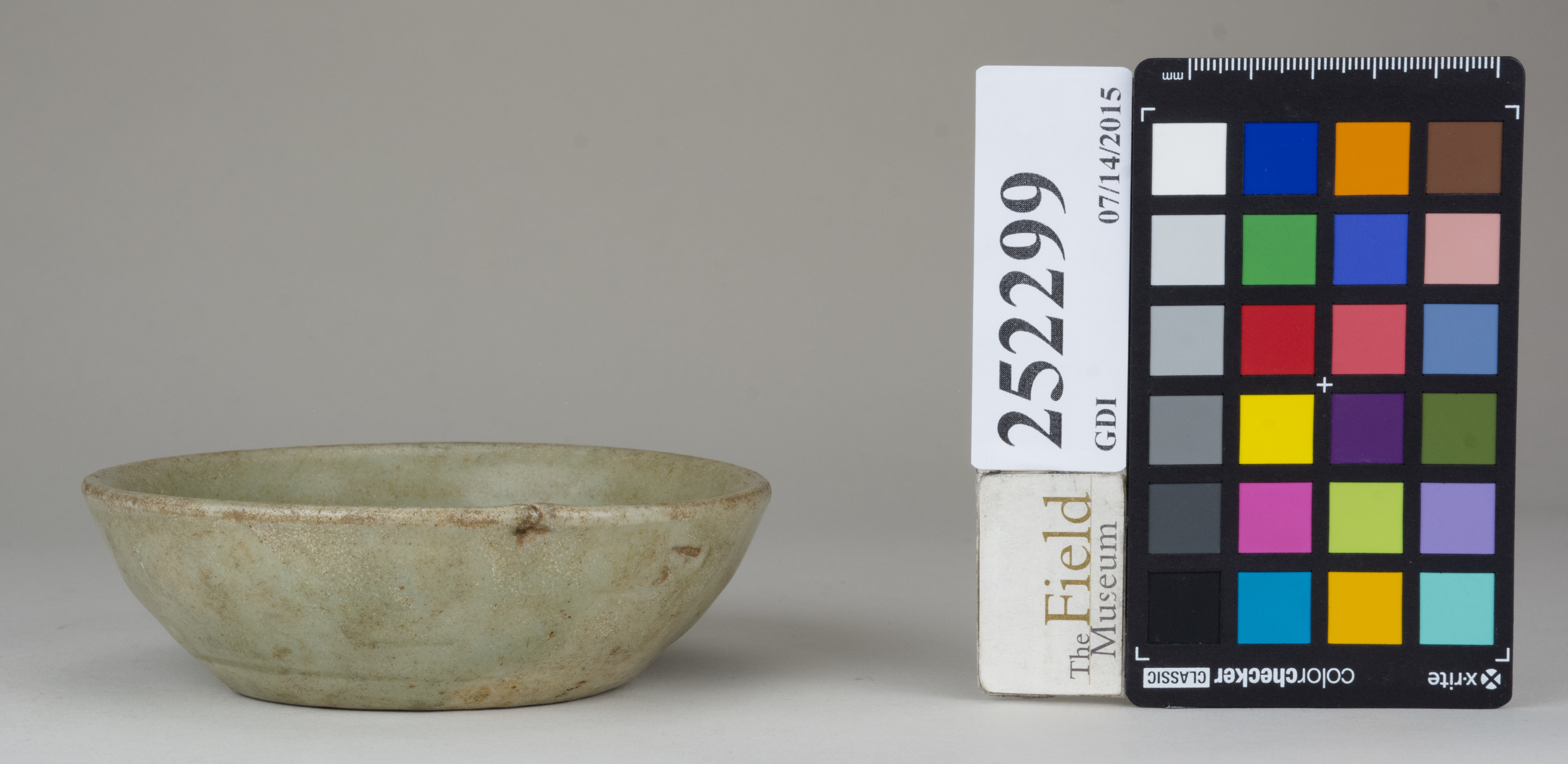 Front (c) Field Museum of Natural History - CC BY-NC 4.0