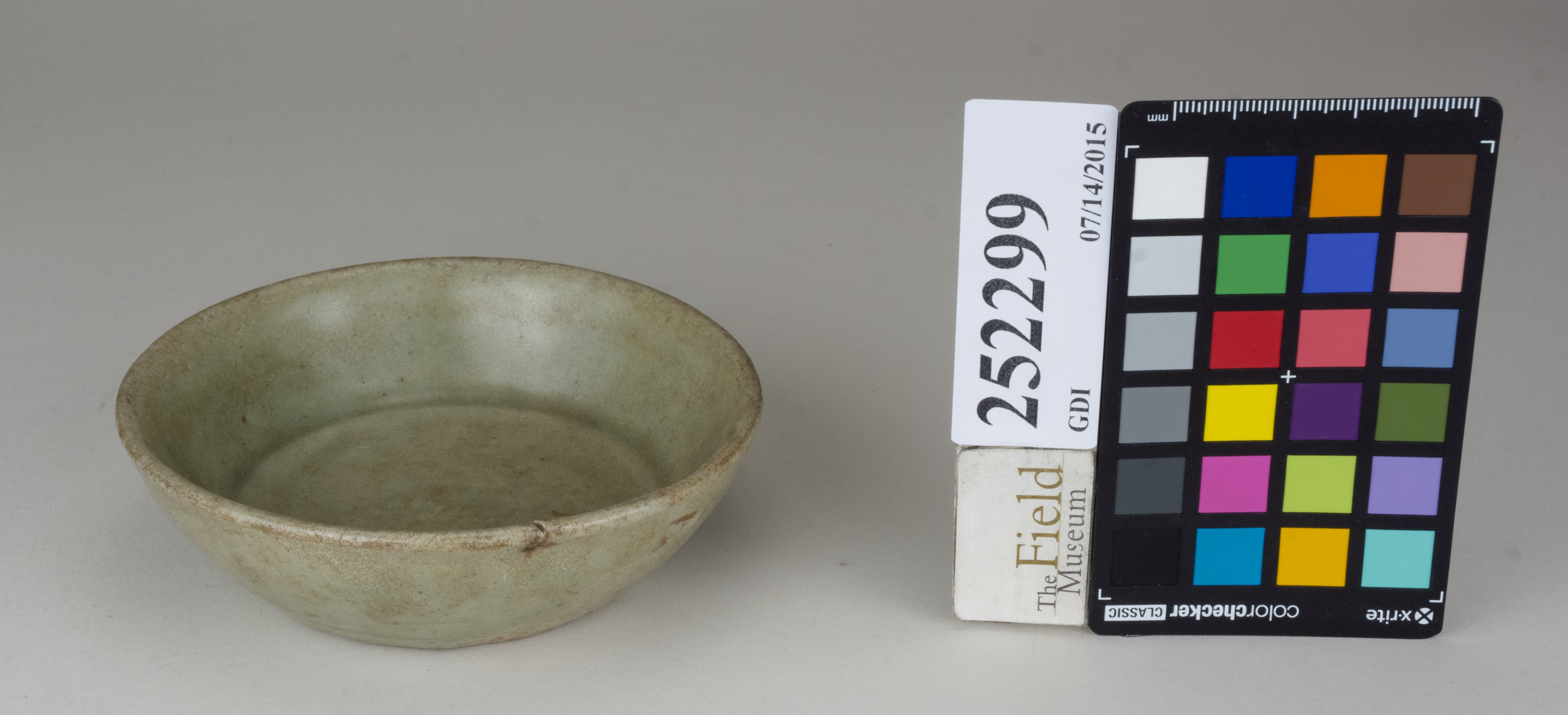 FrontAngle (c) Field Museum of Natural History - CC BY-NC 4.0