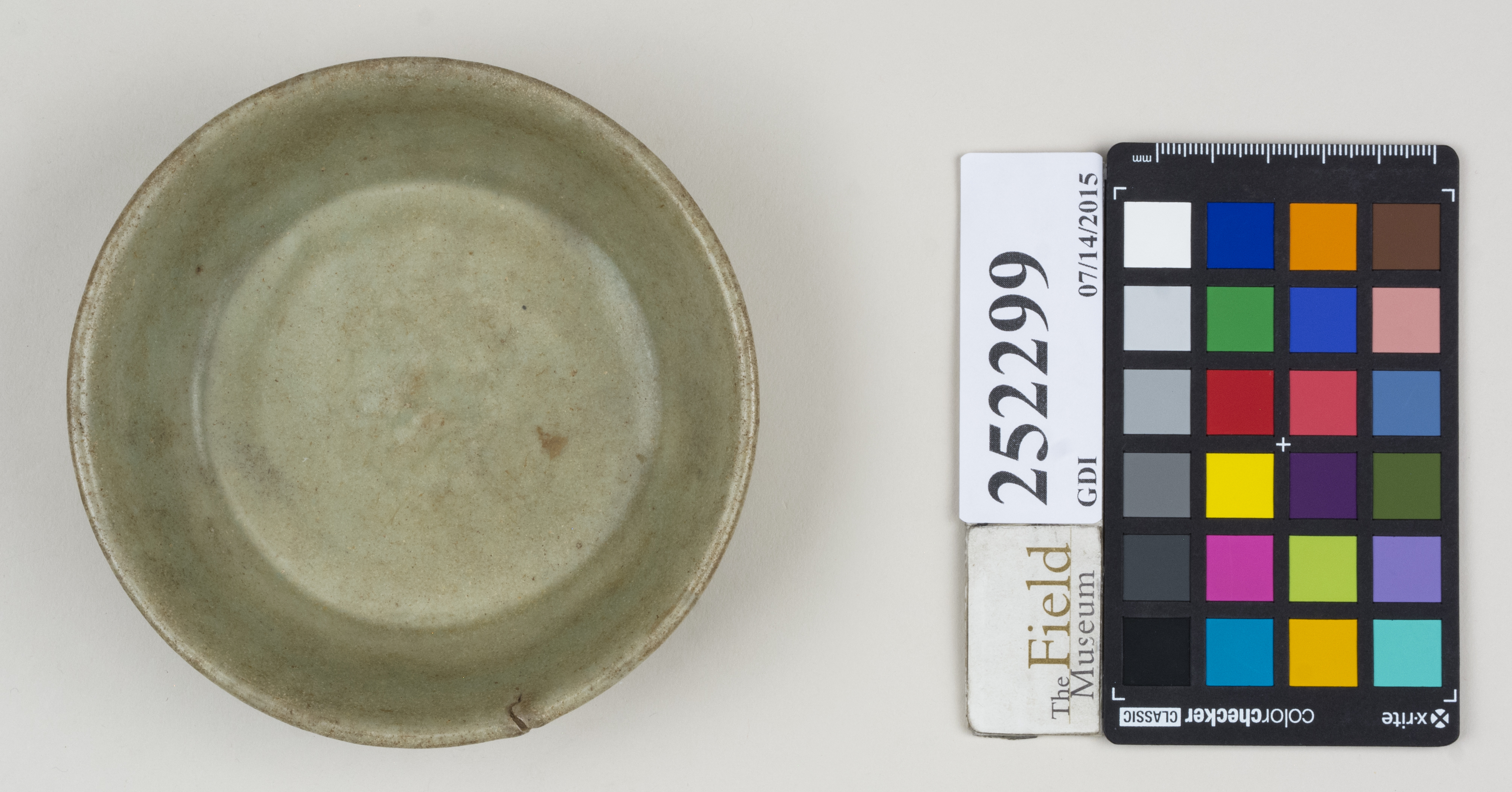 Top (c) Field Museum of Natural History - CC BY-NC 4.0