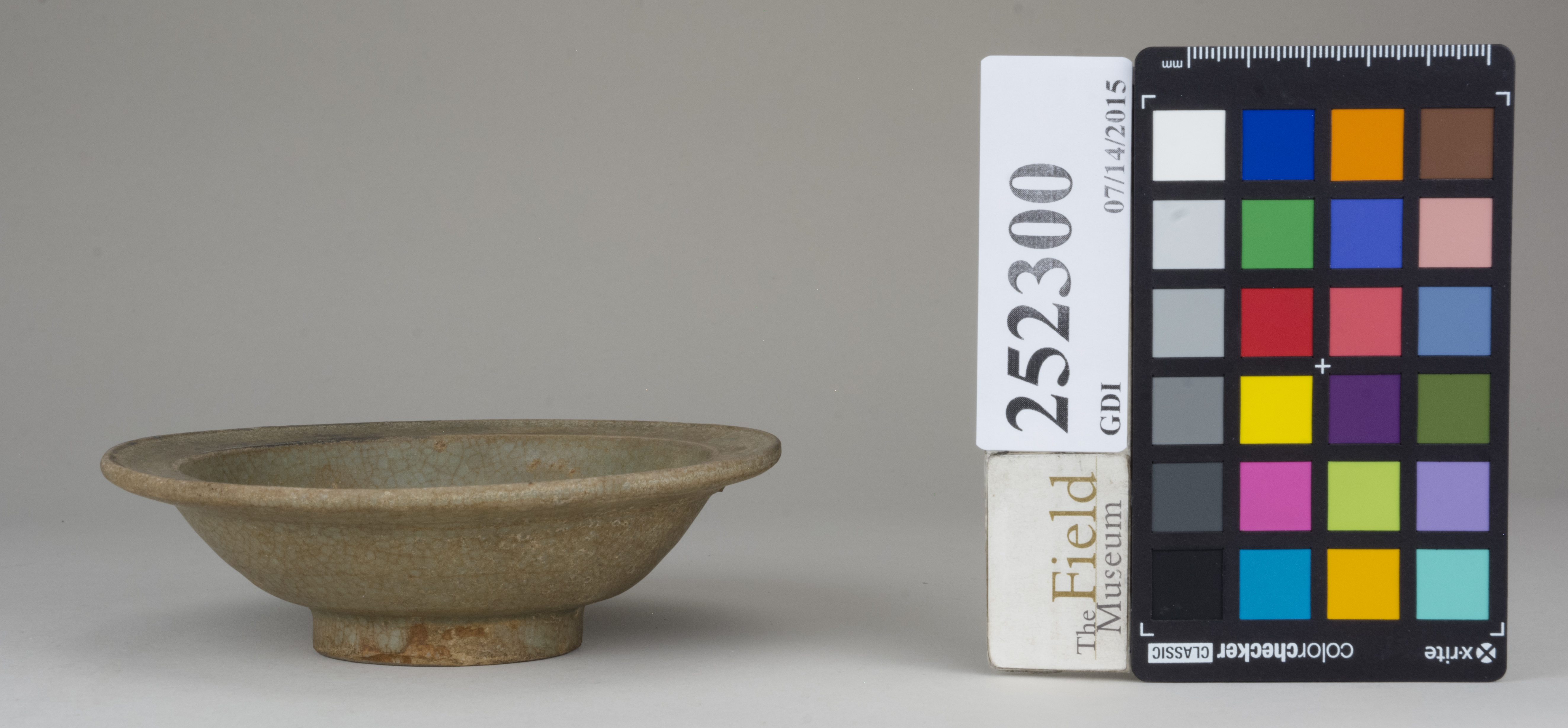 reference image, back (c) Field Museum of Natural History - CC BY-NC 4.0