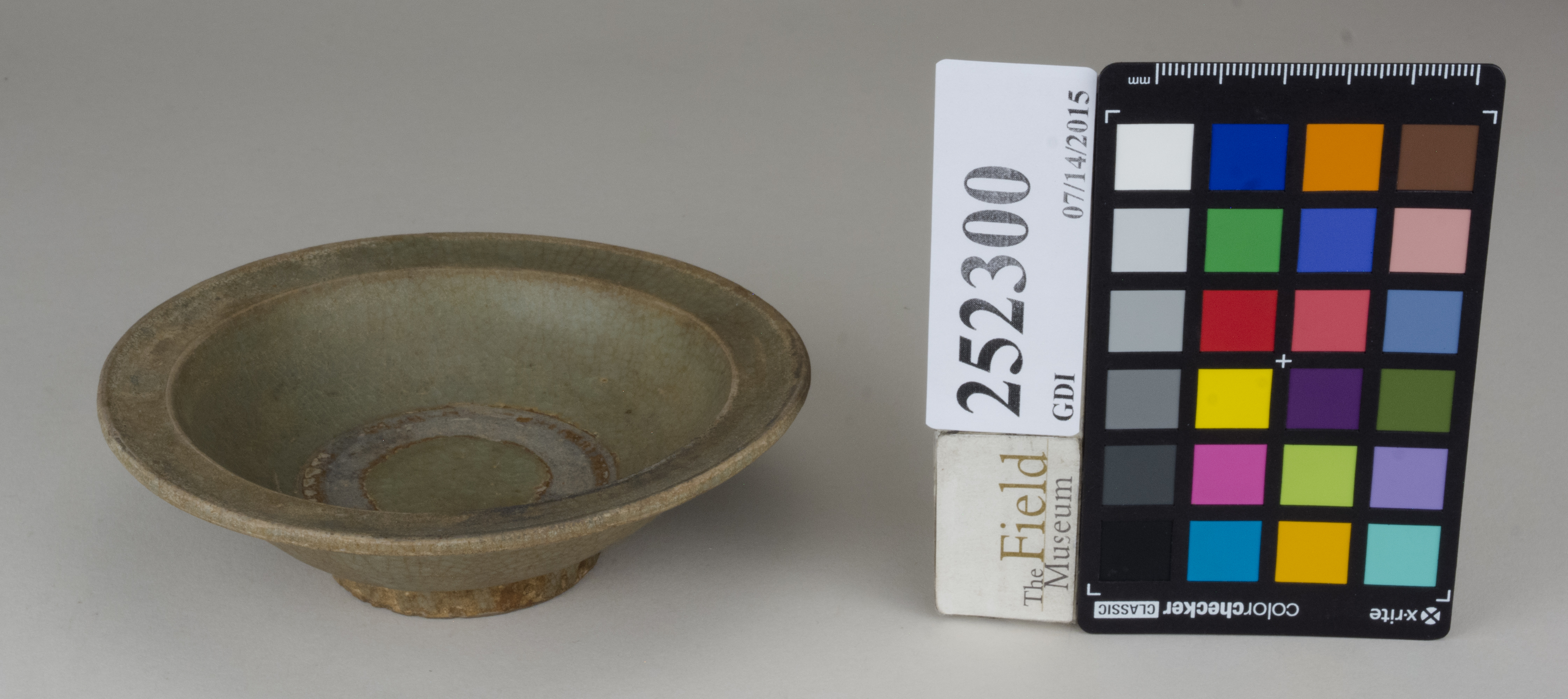 FrontAngle (c) Field Museum of Natural History - CC BY-NC 4.0