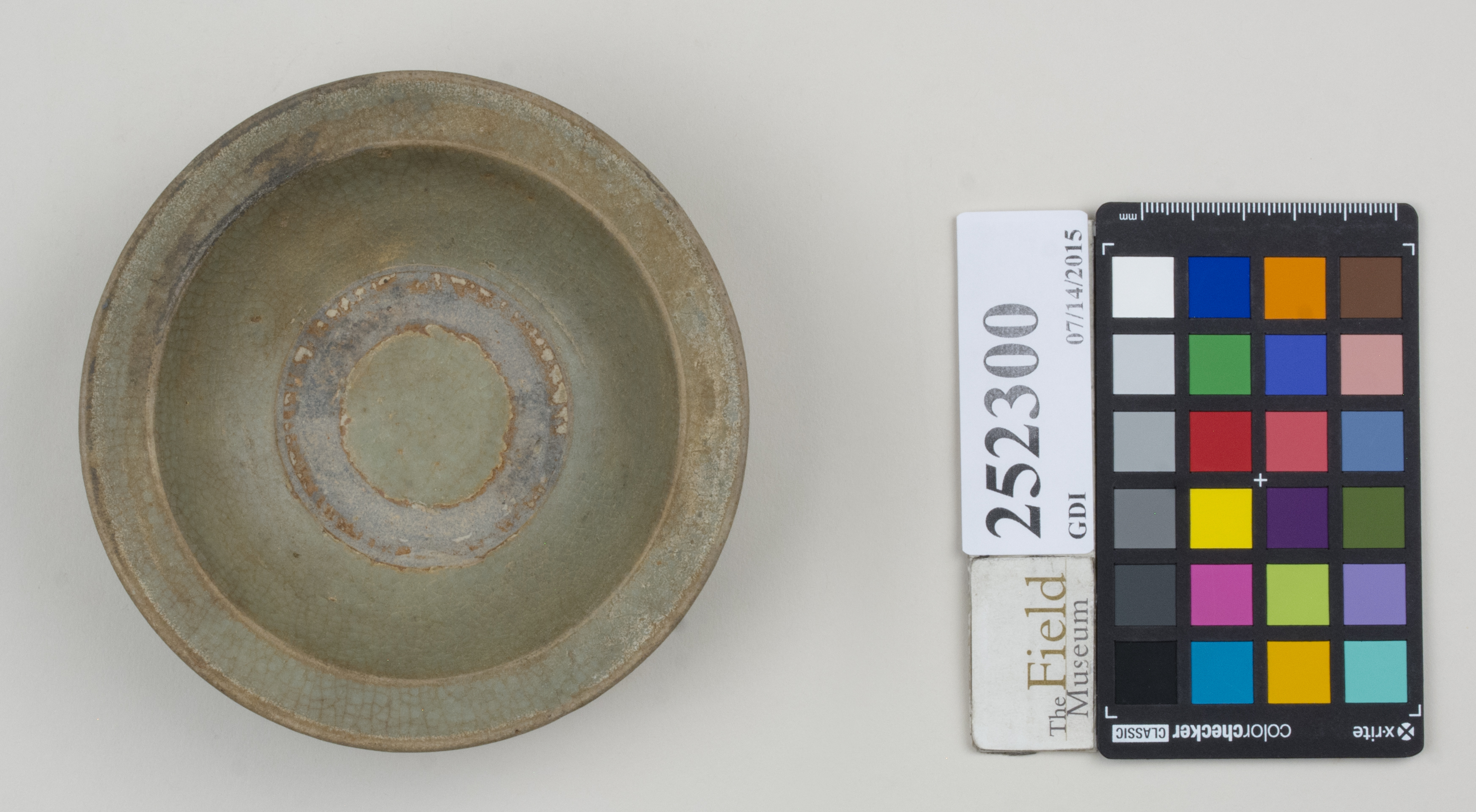 Top (c) Field Museum of Natural History - CC BY-NC 4.0