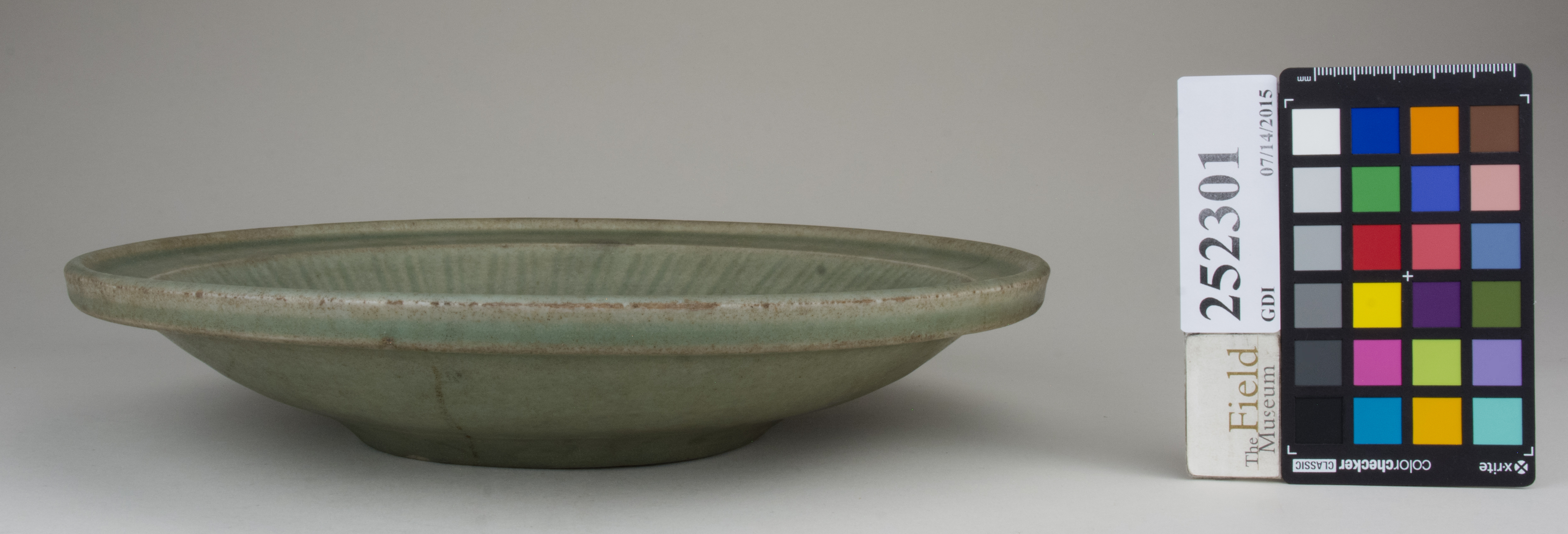 Front (c) Field Museum of Natural History - CC BY-NC 4.0