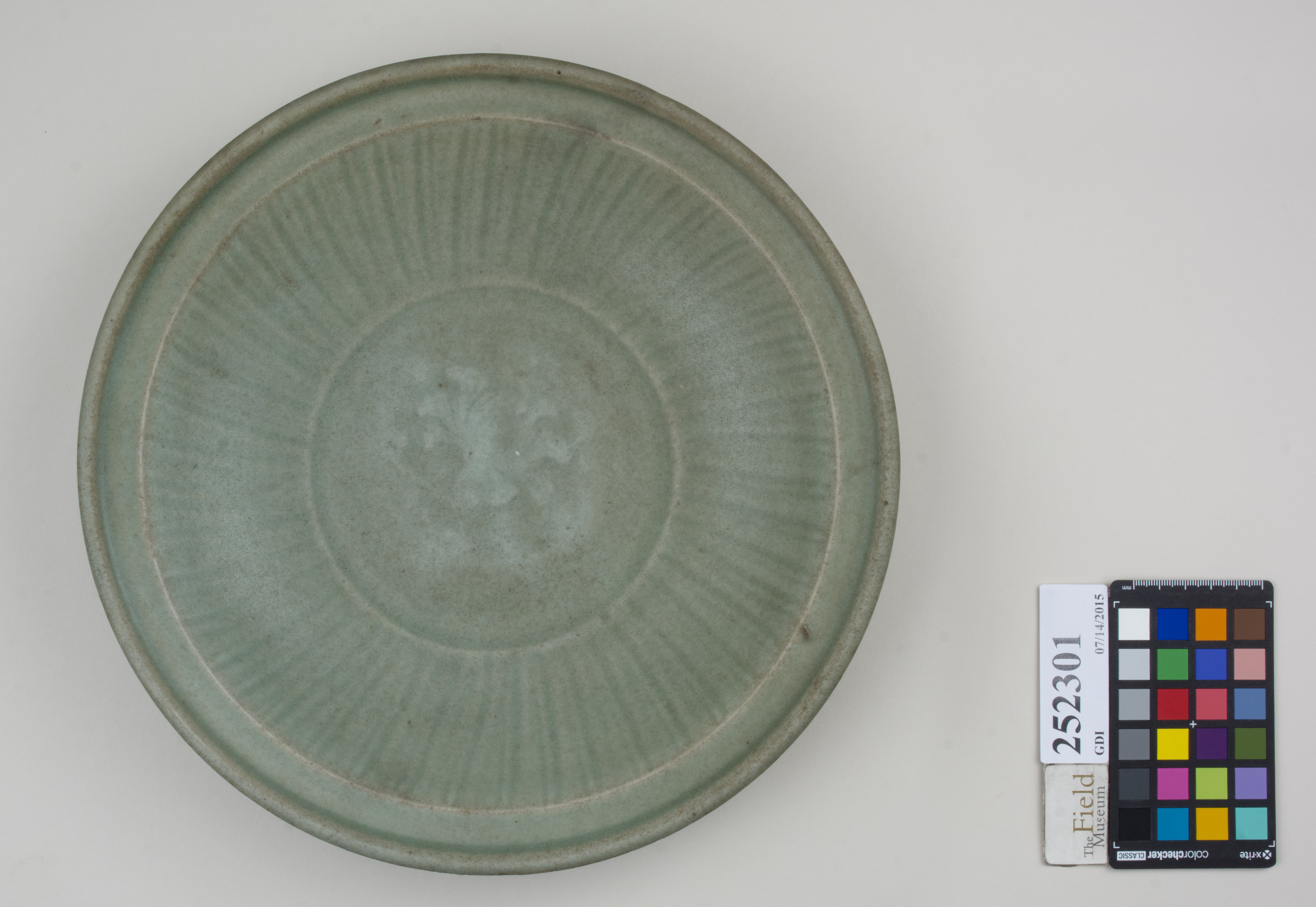 Top (c) Field Museum of Natural History - CC BY-NC 4.0