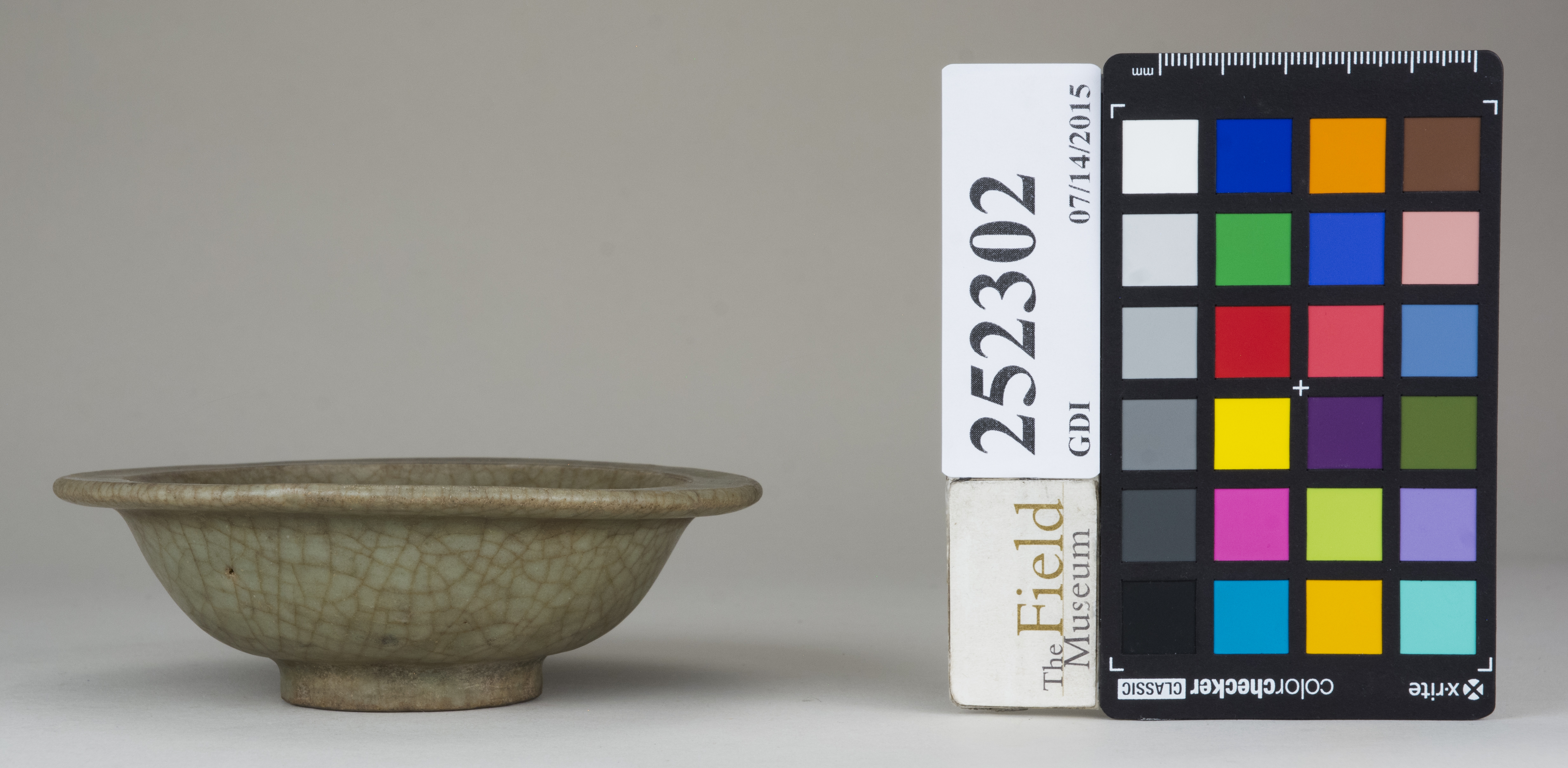 reference image, back (c) Field Museum of Natural History - CC BY-NC 4.0