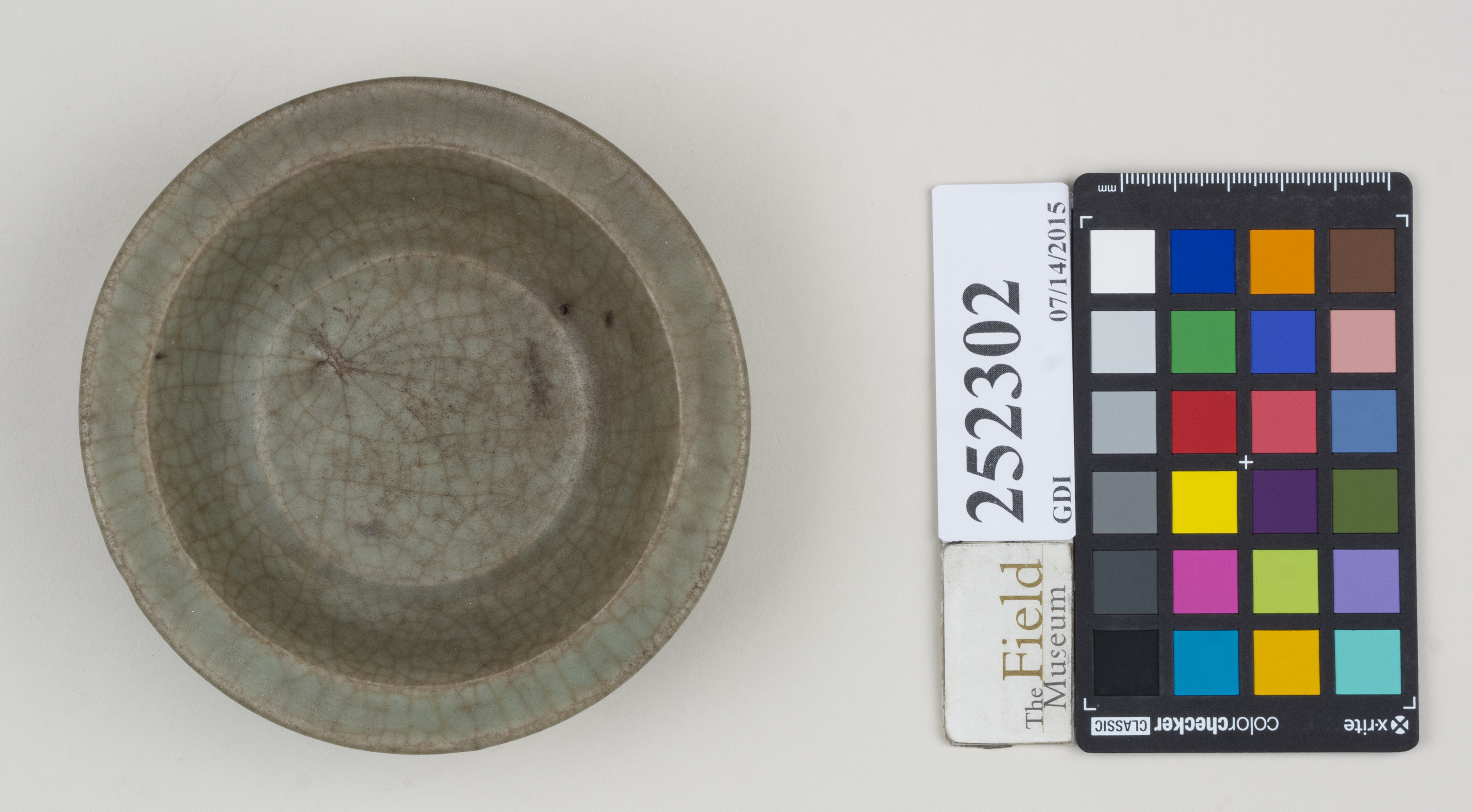 Top (c) Field Museum of Natural History - CC BY-NC 4.0