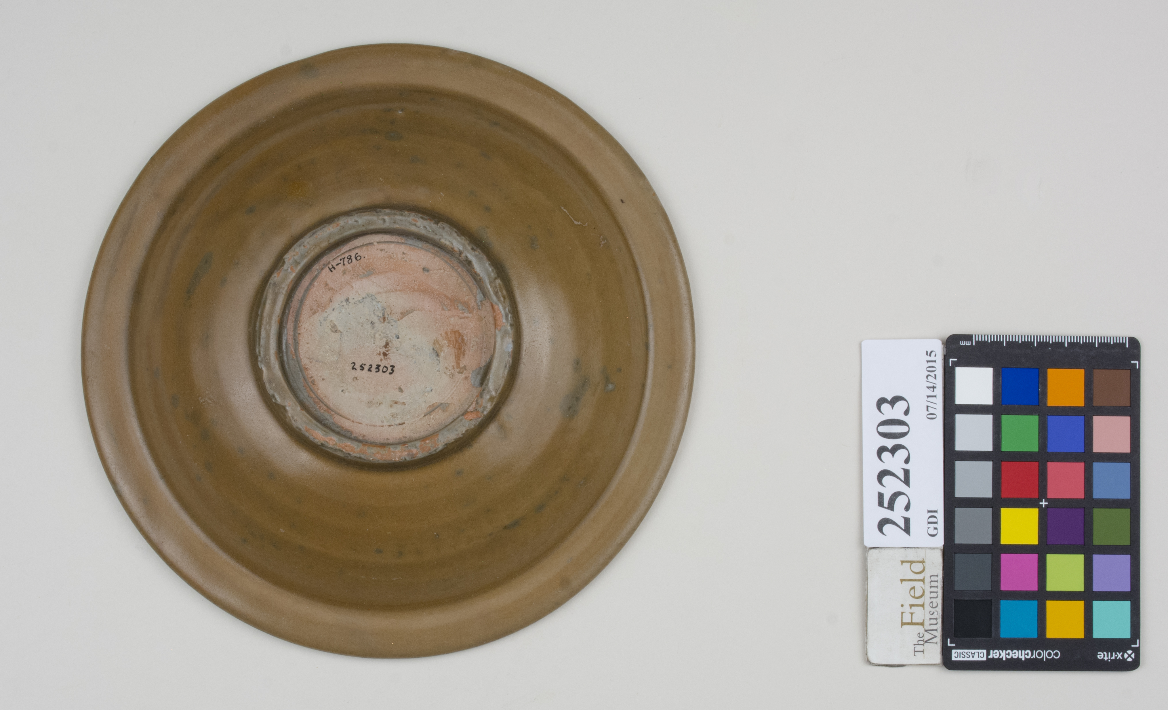 Bottom (c) Field Museum of Natural History - CC BY-NC 4.0