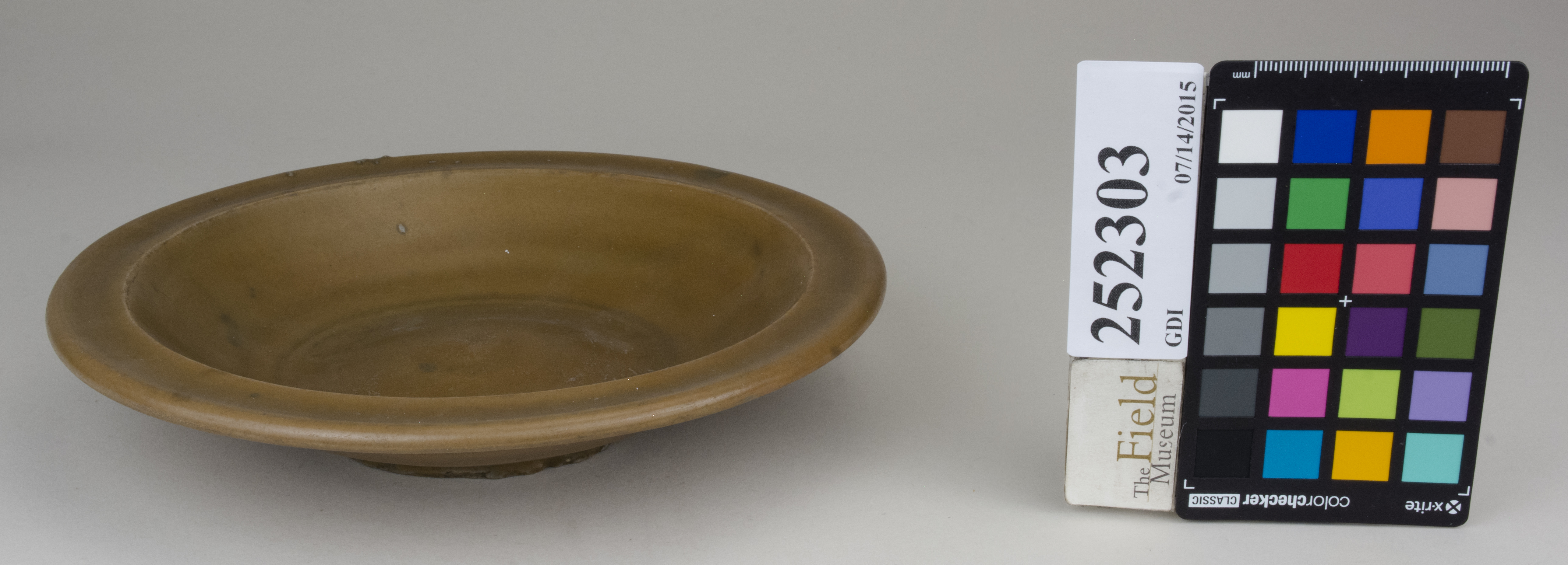 FrontAngle (c) Field Museum of Natural History - CC BY-NC 4.0