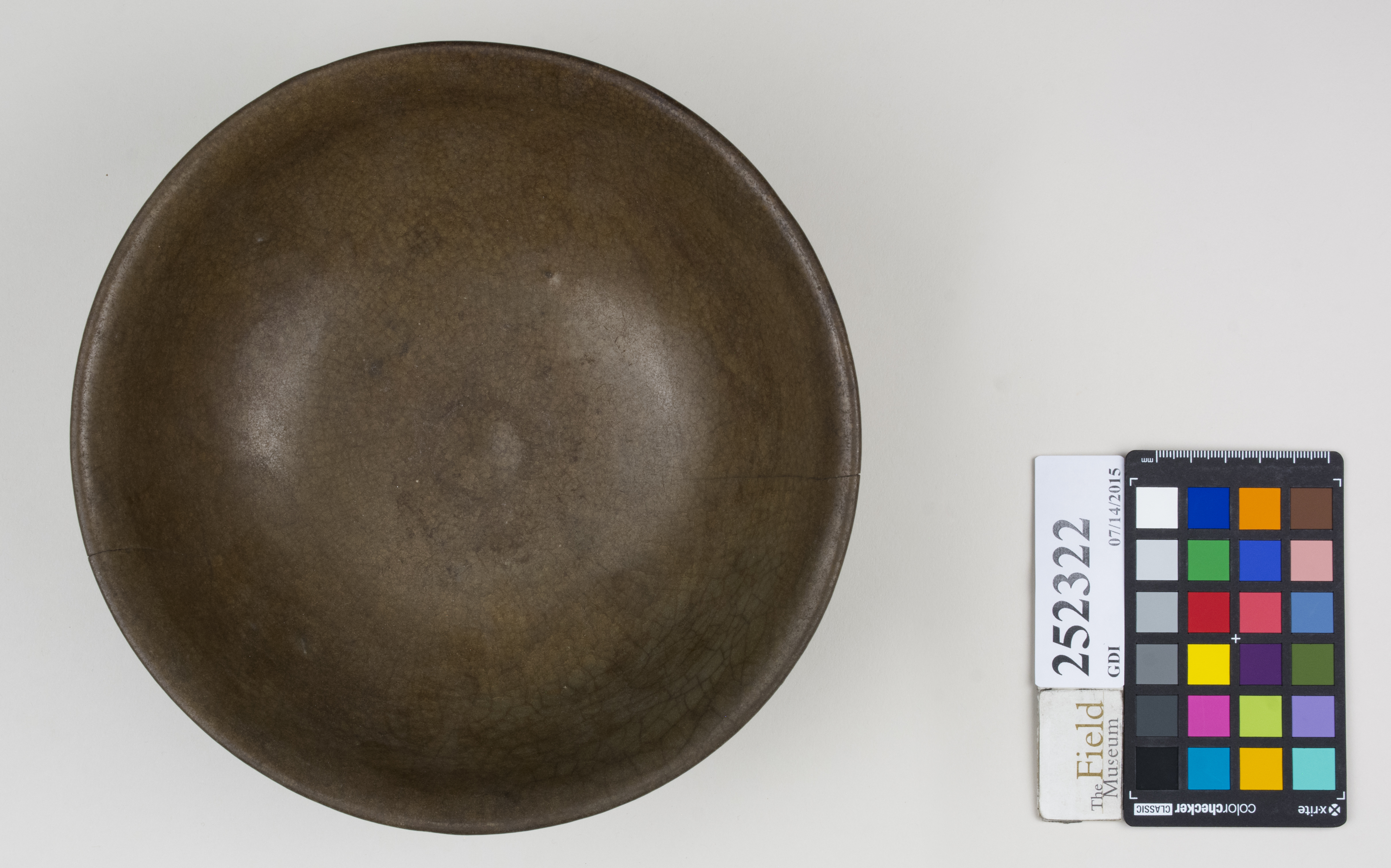 Top (c) Field Museum of Natural History - CC BY-NC 4.0