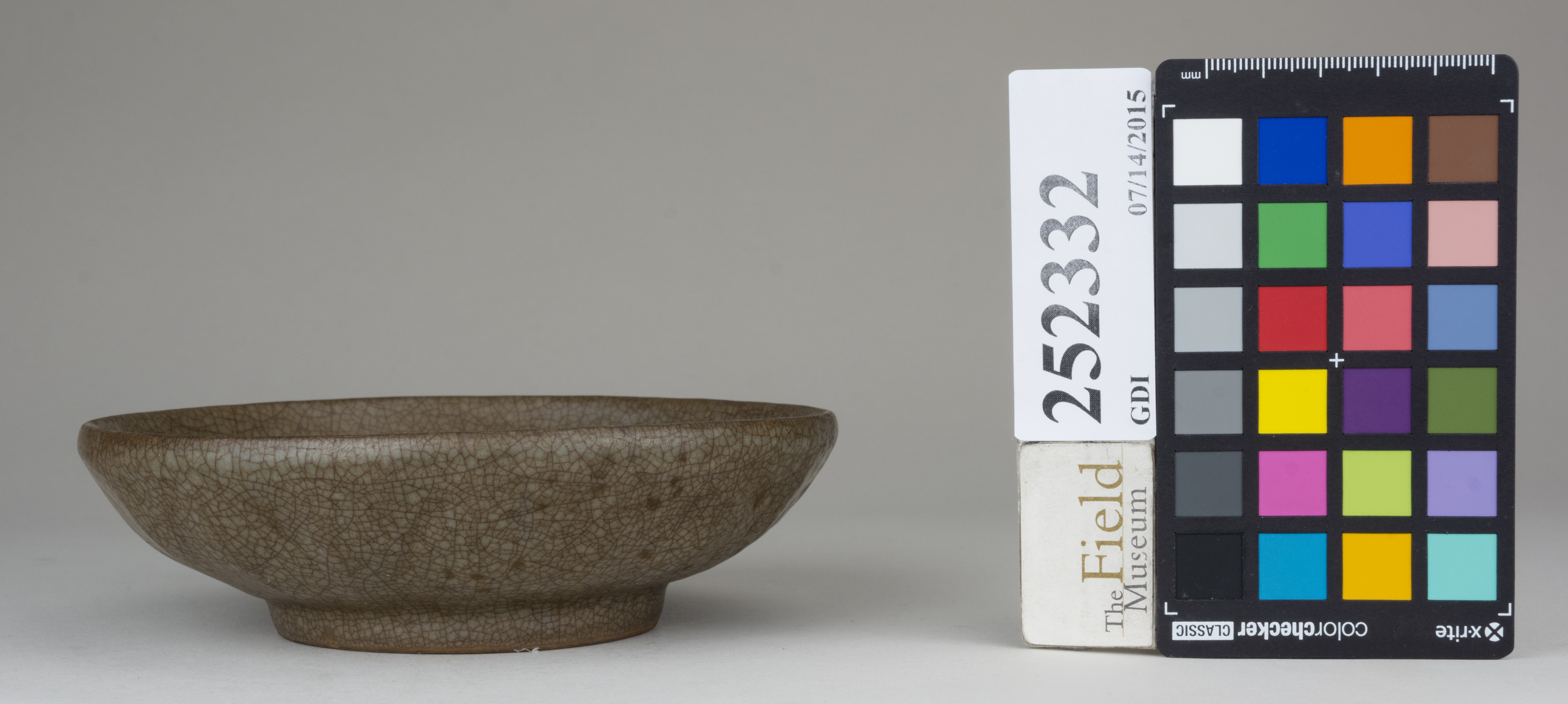 reference image, back (c) Field Museum of Natural History - CC BY-NC 4.0