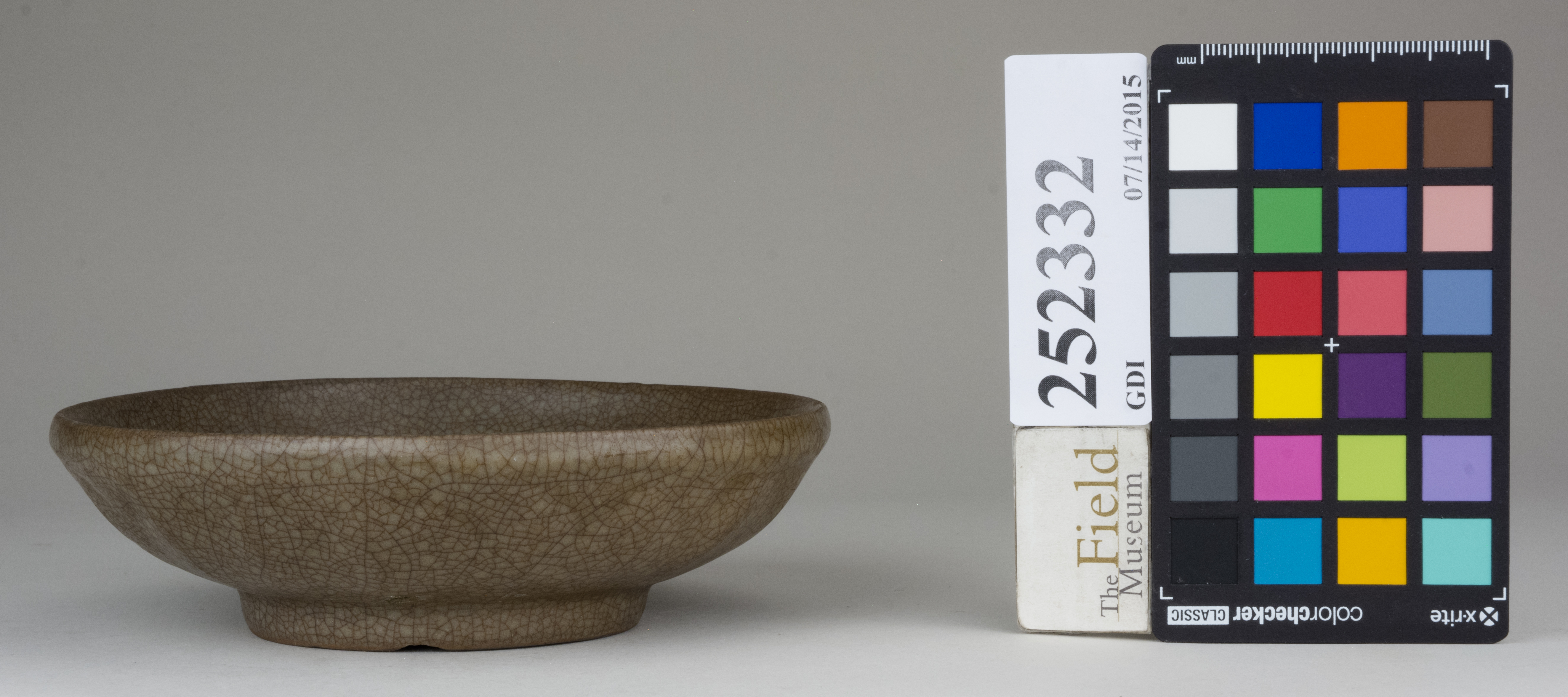 Front (c) Field Museum of Natural History - CC BY-NC 4.0