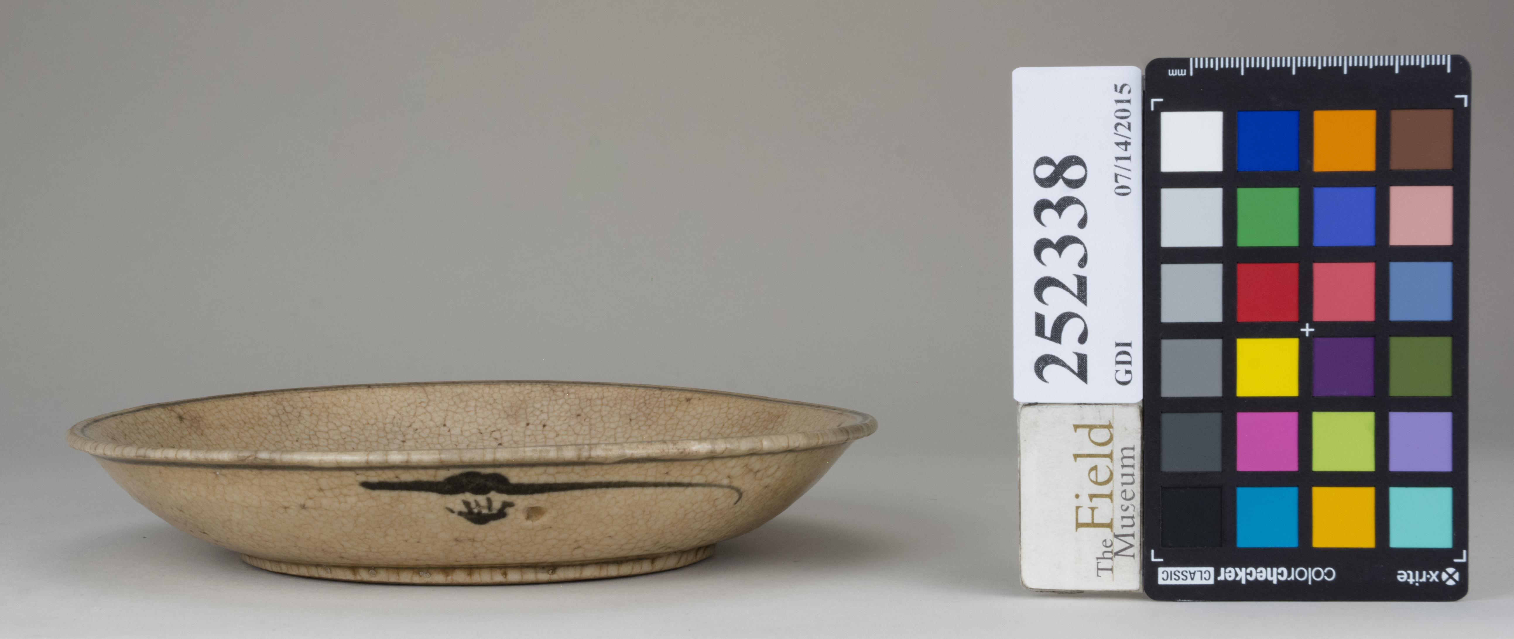 reference image, back (c) Field Museum of Natural History - CC BY-NC 4.0