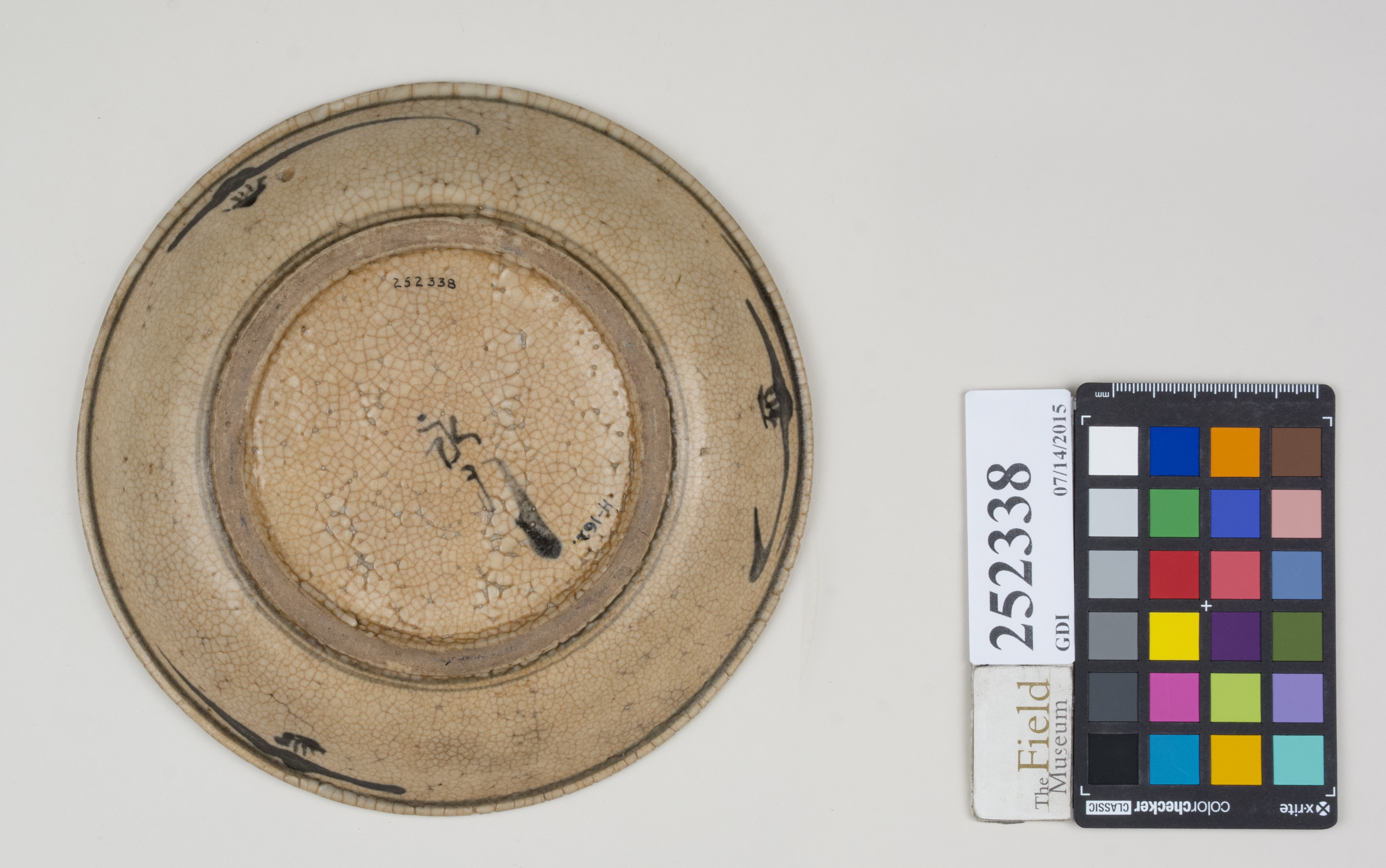 Bottom (c) Field Museum of Natural History - CC BY-NC 4.0