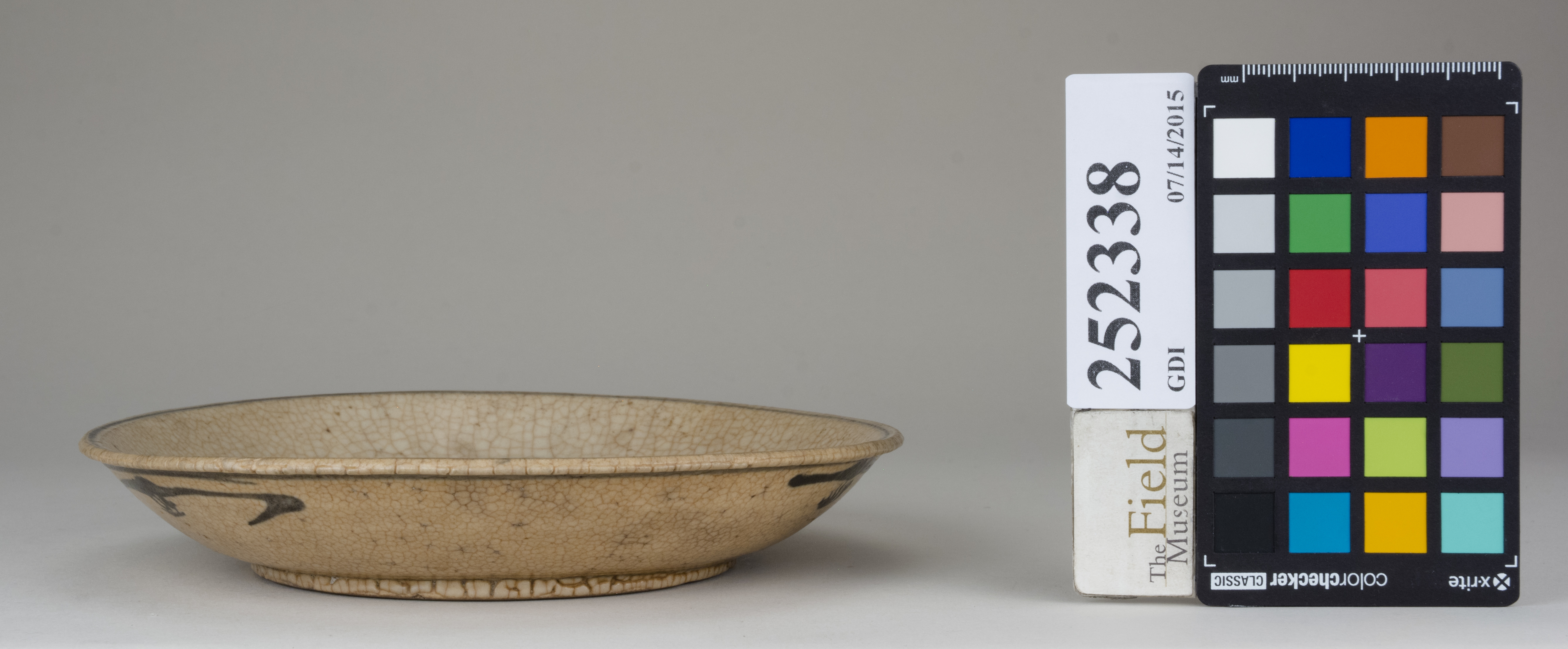 Front (c) Field Museum of Natural History - CC BY-NC 4.0