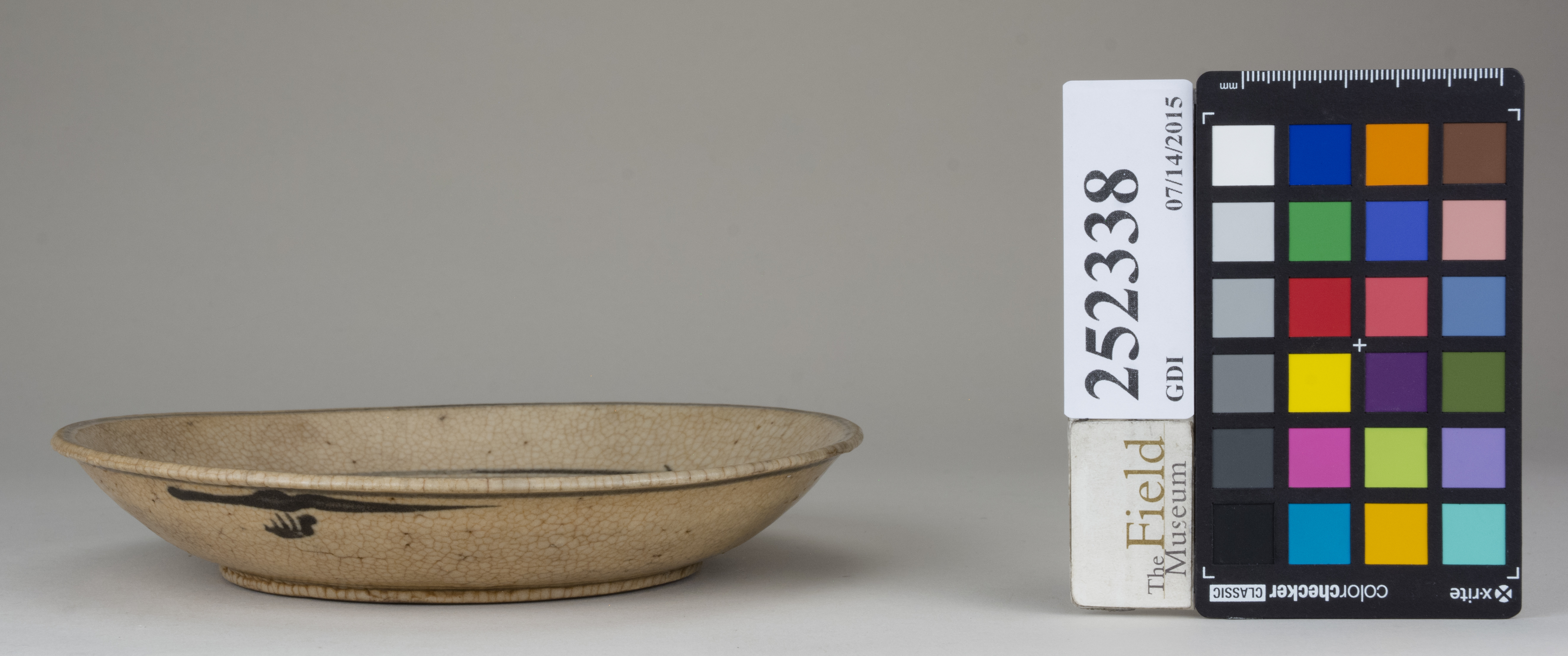 Left (c) Field Museum of Natural History - CC BY-NC 4.0