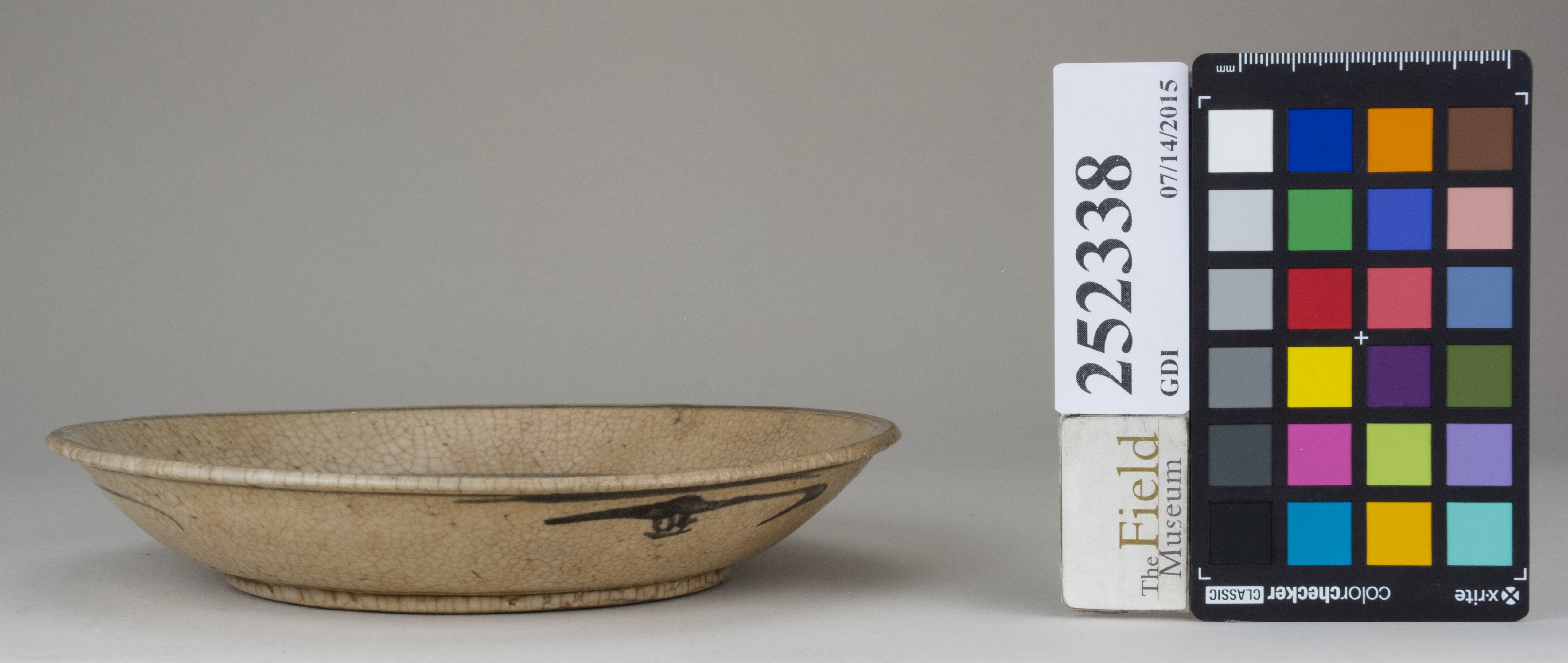 Right (c) Field Museum of Natural History - CC BY-NC 4.0