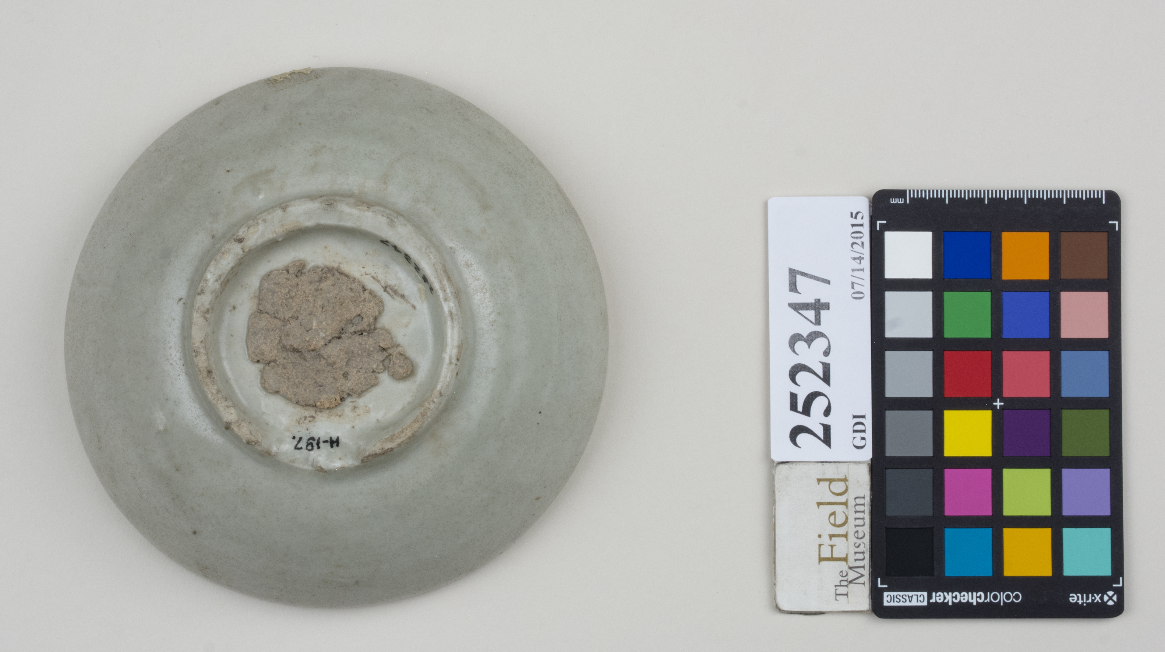 Bottom (c) Field Museum of Natural History - CC BY-NC 4.0