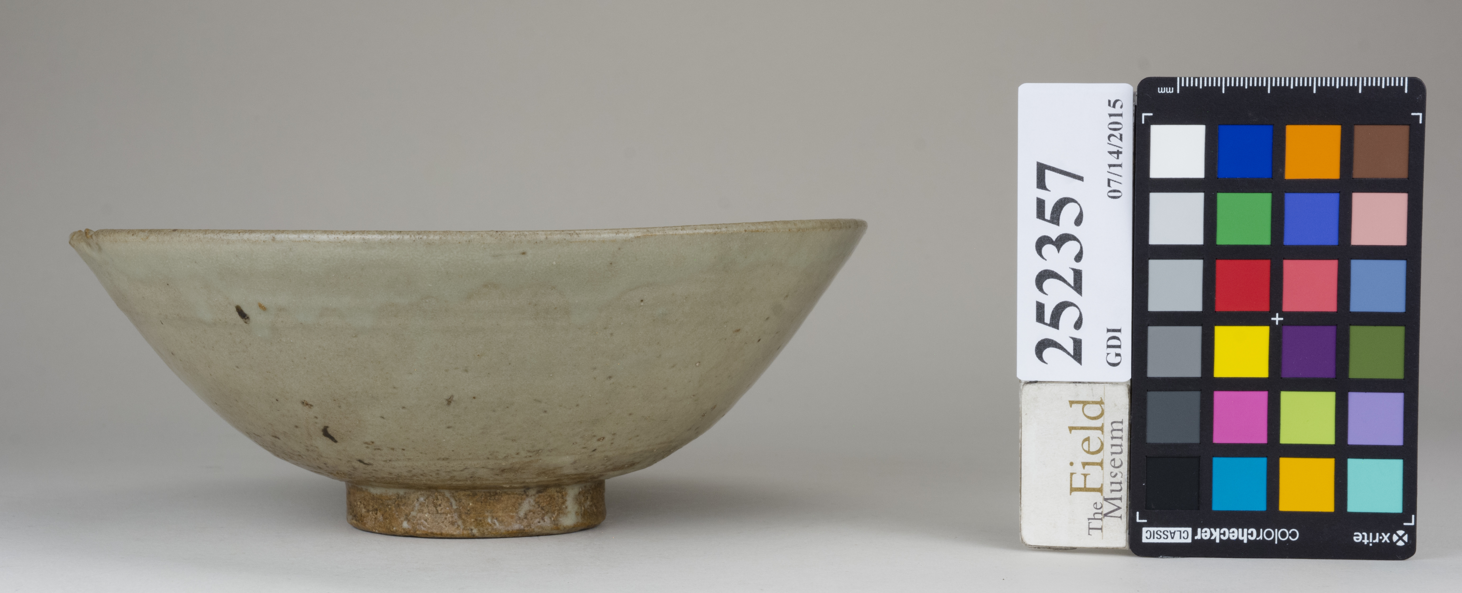 reference image, back (c) Field Museum of Natural History - CC BY-NC 4.0