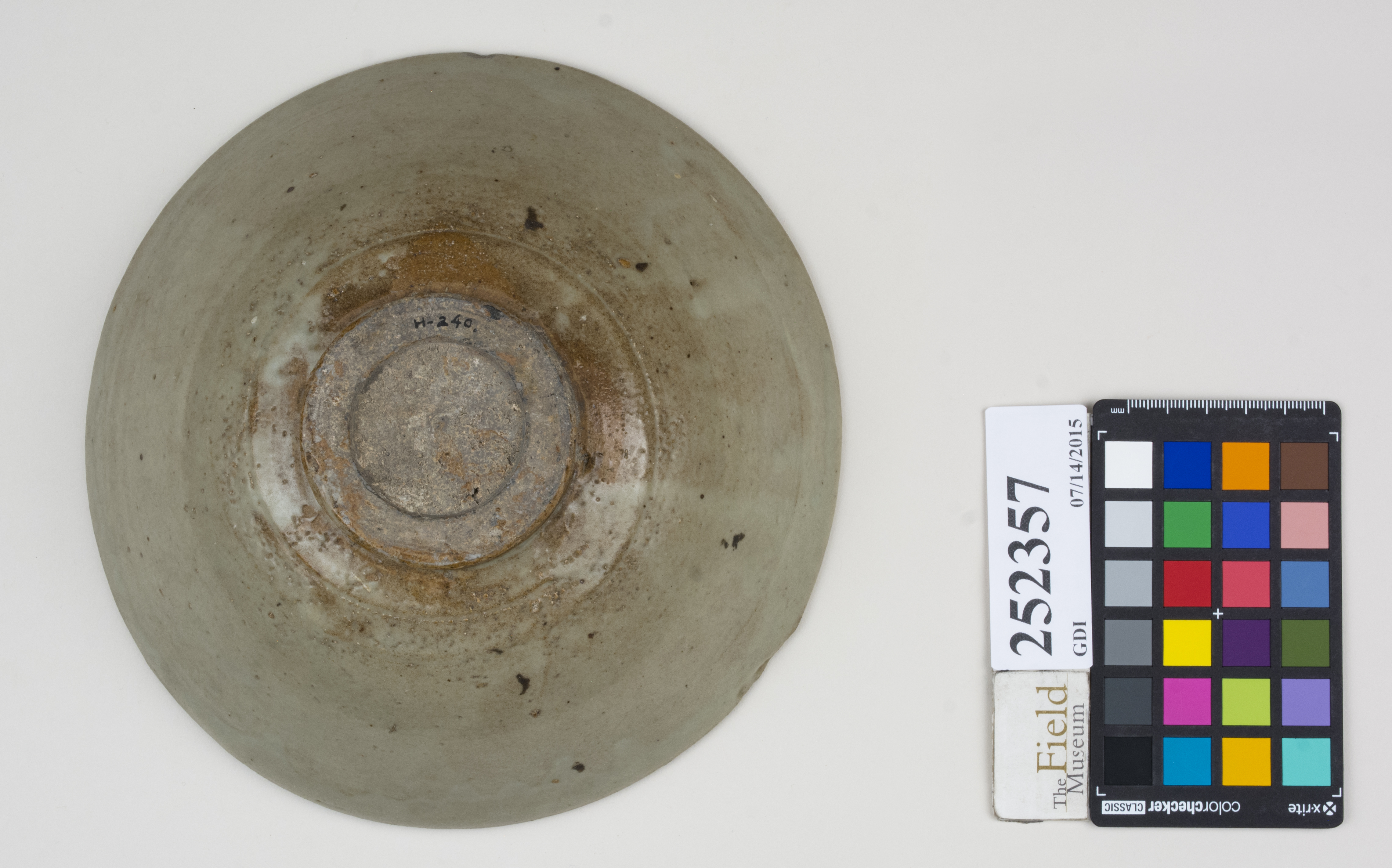 Bottom (c) Field Museum of Natural History - CC BY-NC 4.0