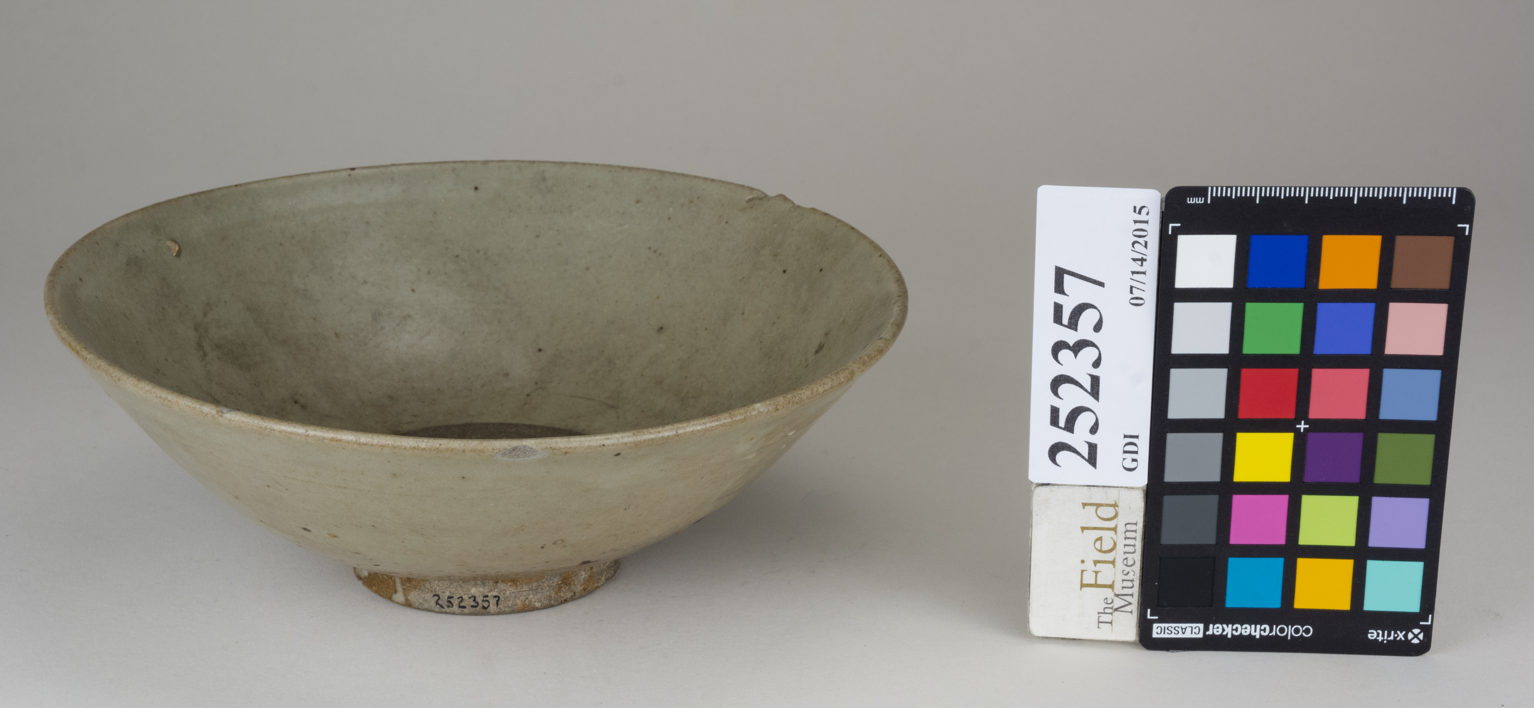 FrontAngle (c) Field Museum of Natural History - CC BY-NC 4.0