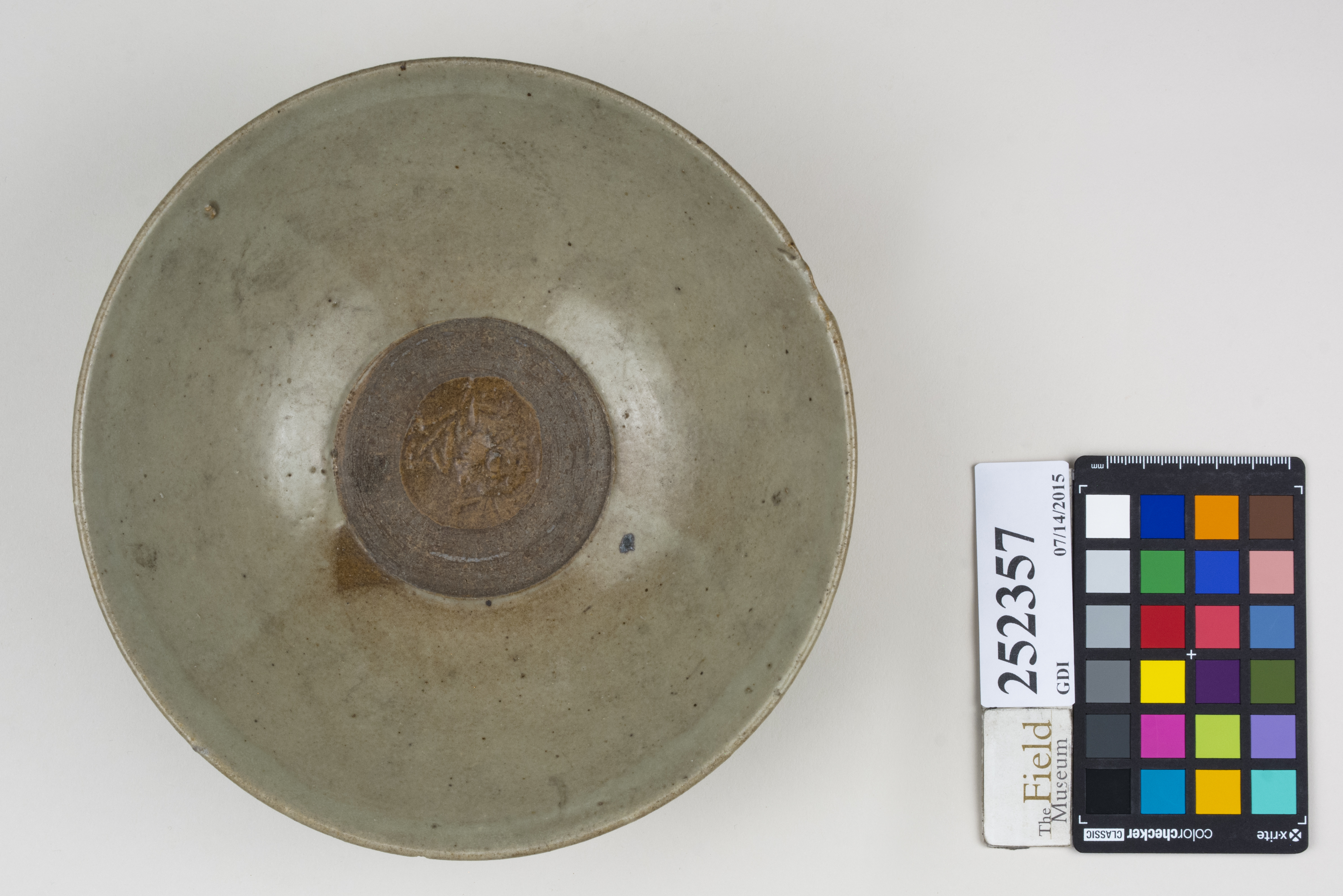 Top (c) Field Museum of Natural History - CC BY-NC 4.0