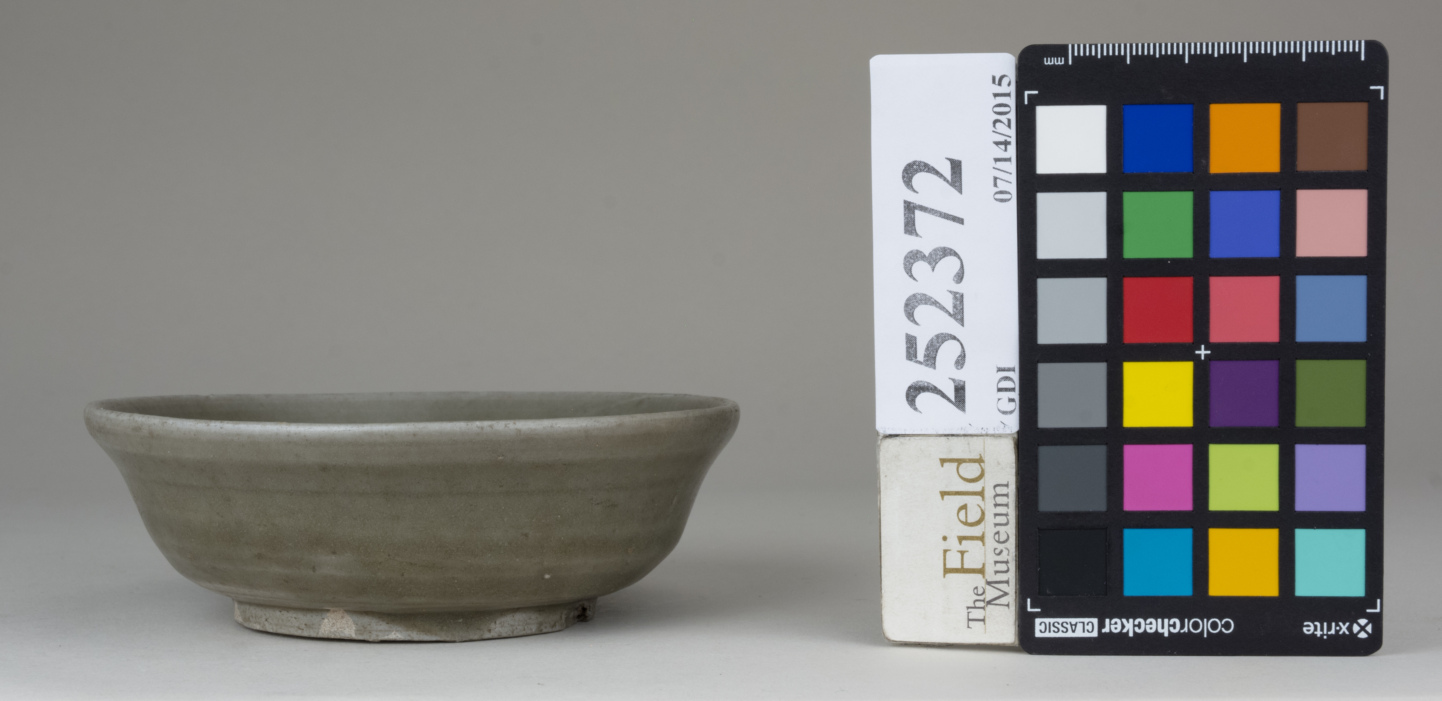 reference image, back (c) Field Museum of Natural History - CC BY-NC 4.0