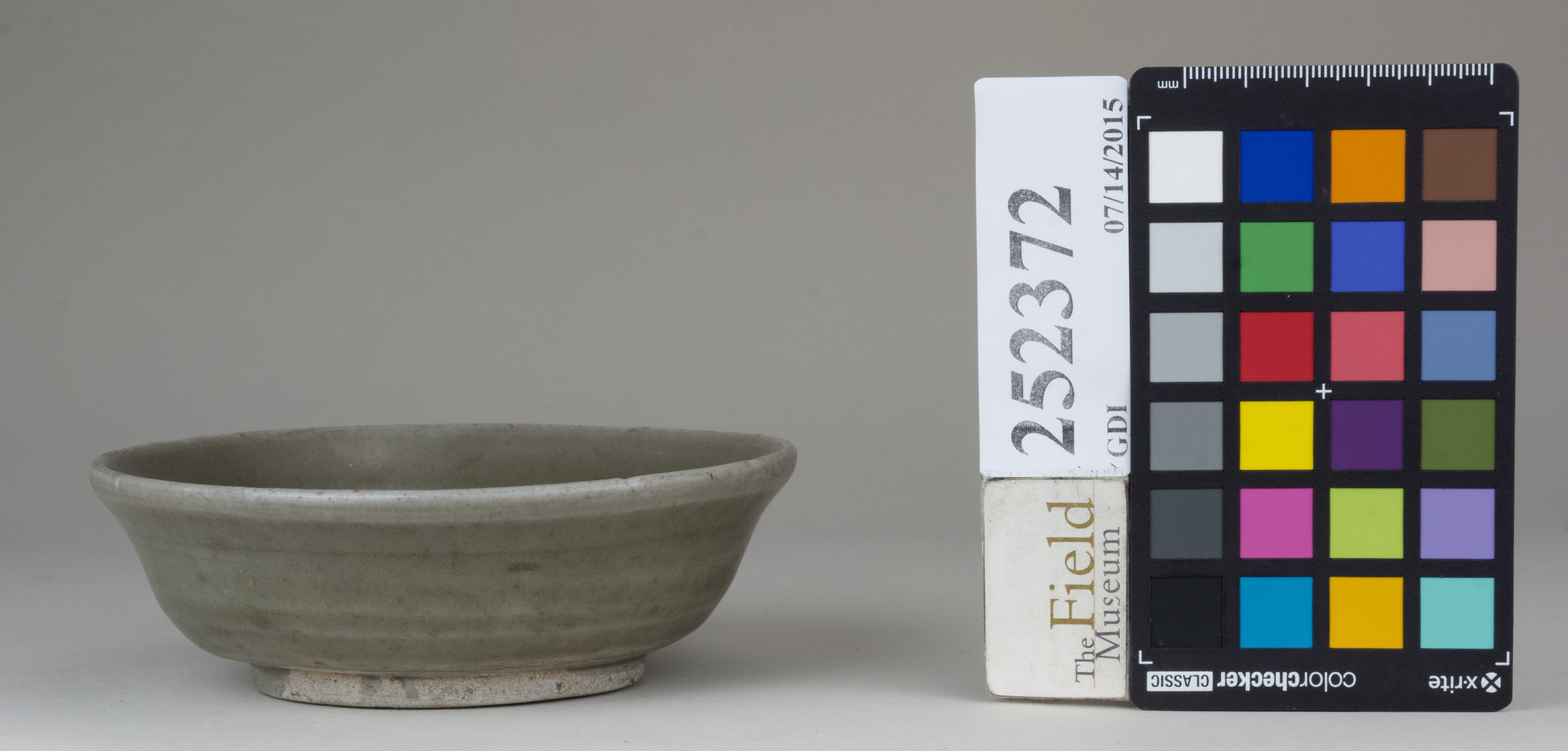 Front (c) Field Museum of Natural History - CC BY-NC 4.0