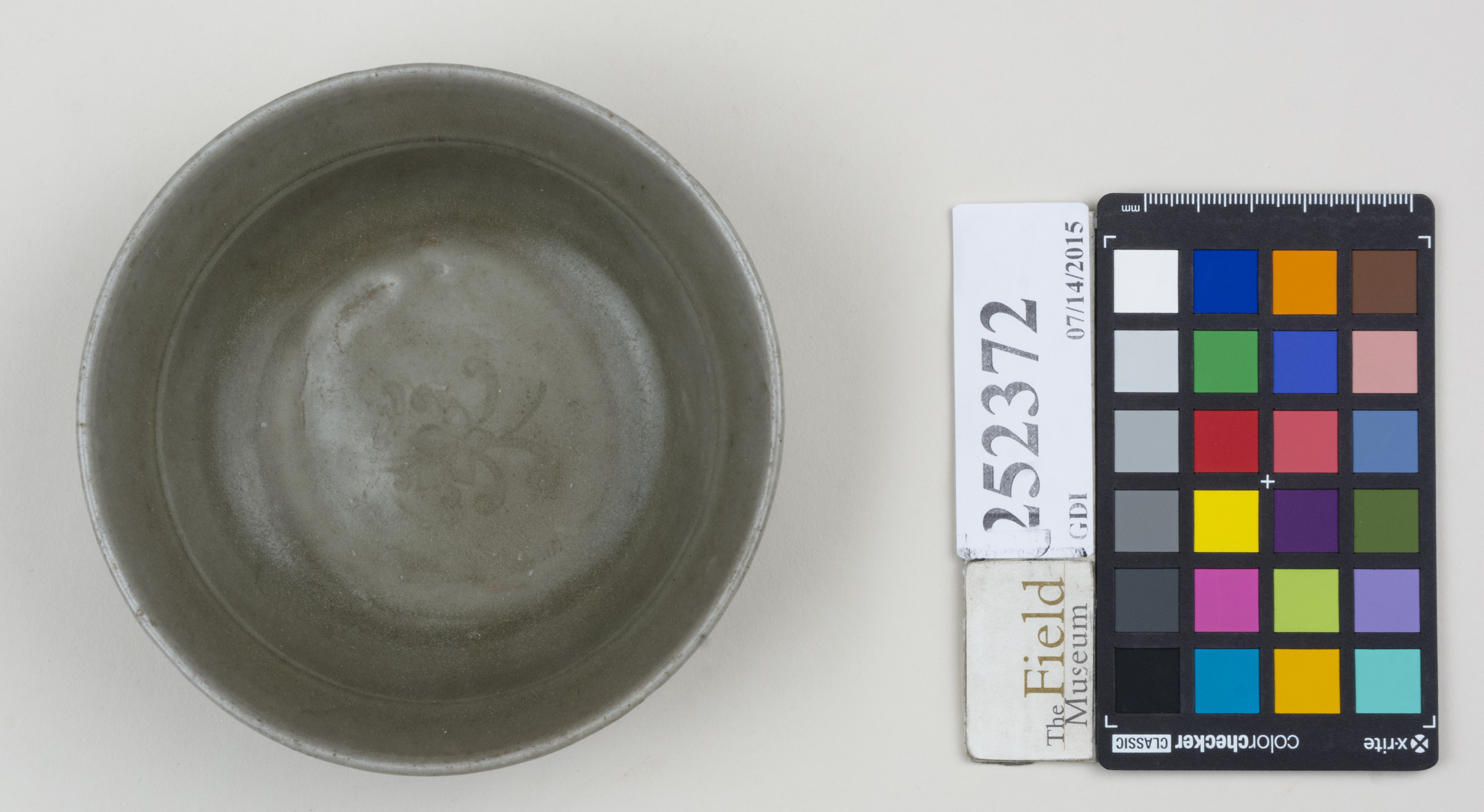 Top (c) Field Museum of Natural History - CC BY-NC 4.0