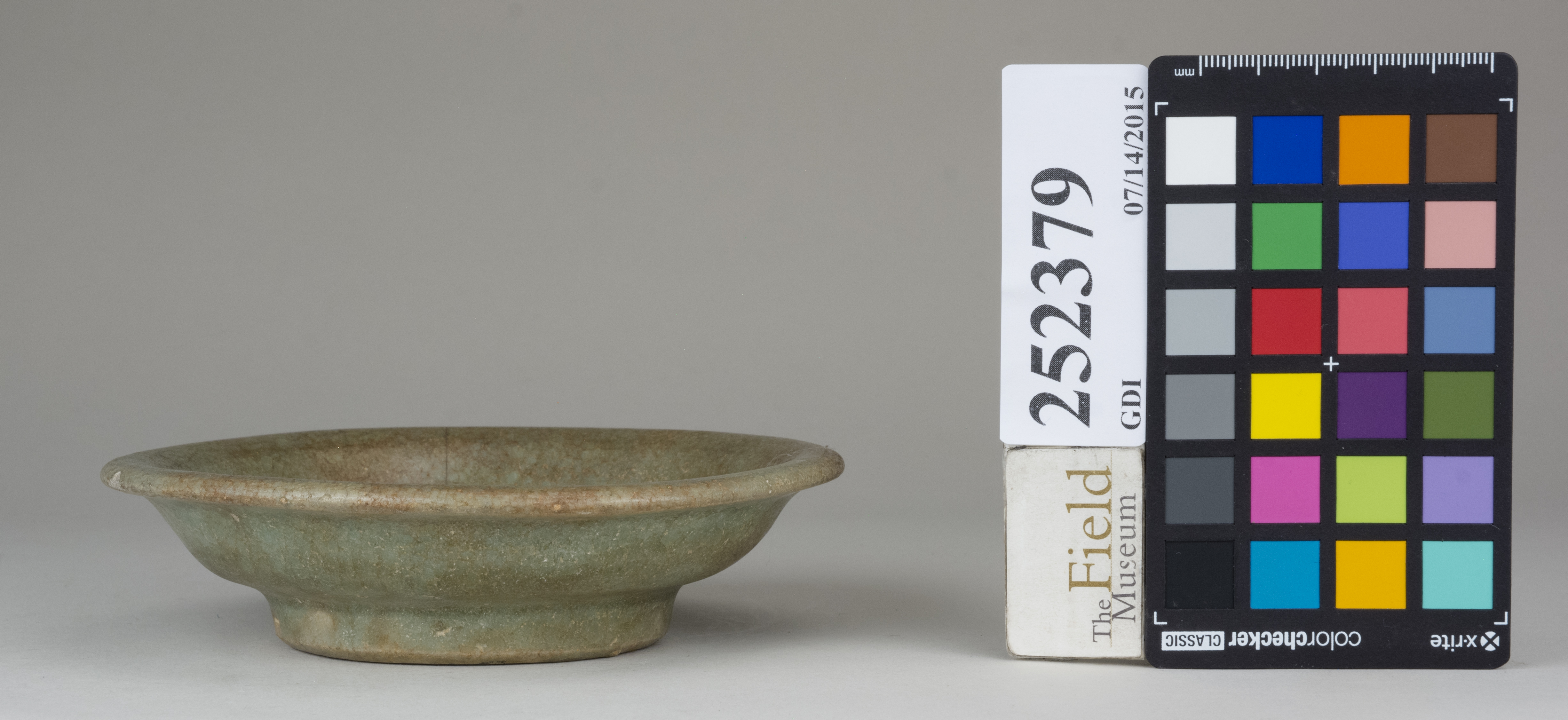 Front (c) Field Museum of Natural History - CC BY-NC 4.0