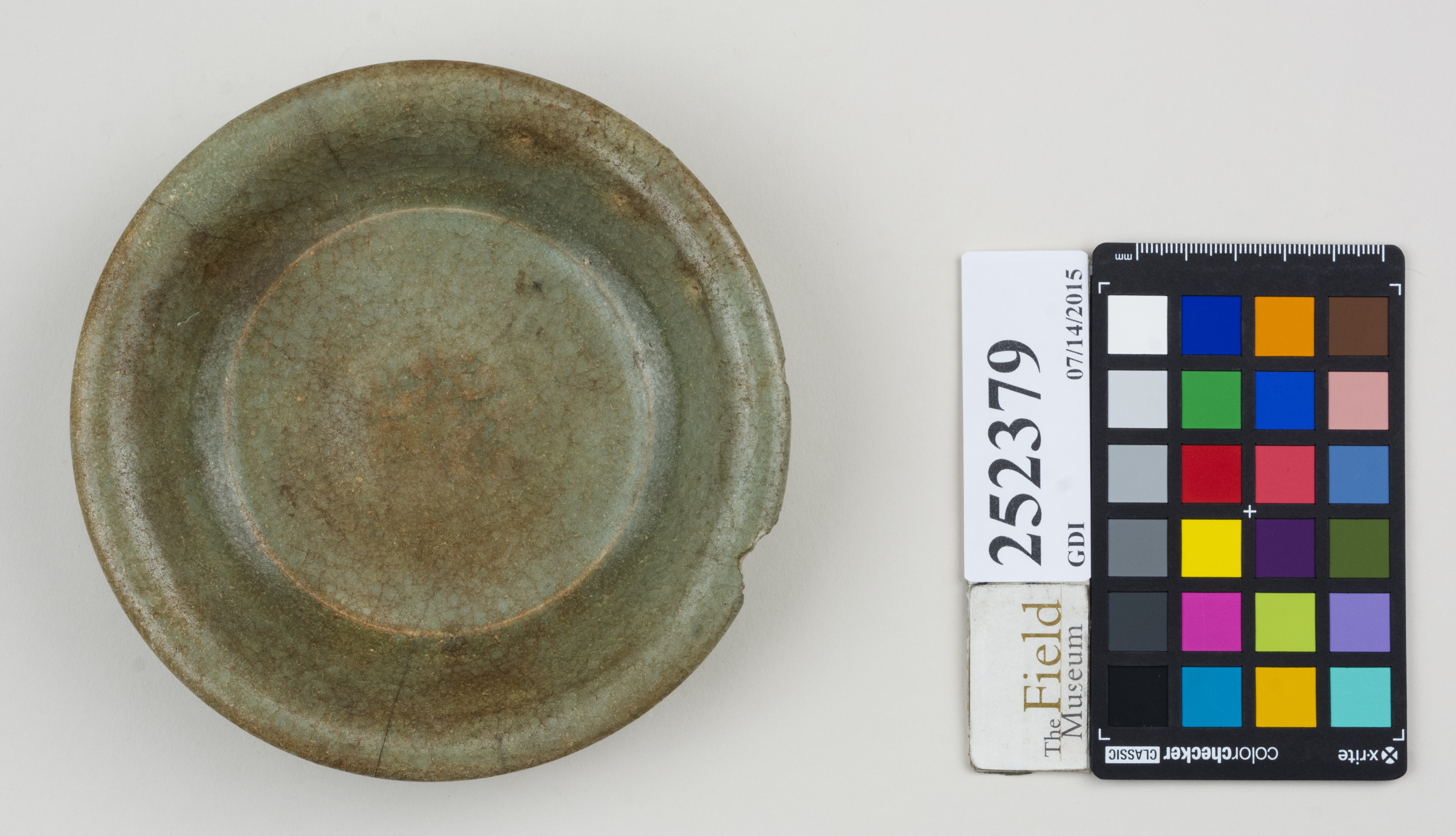 Top (c) Field Museum of Natural History - CC BY-NC 4.0