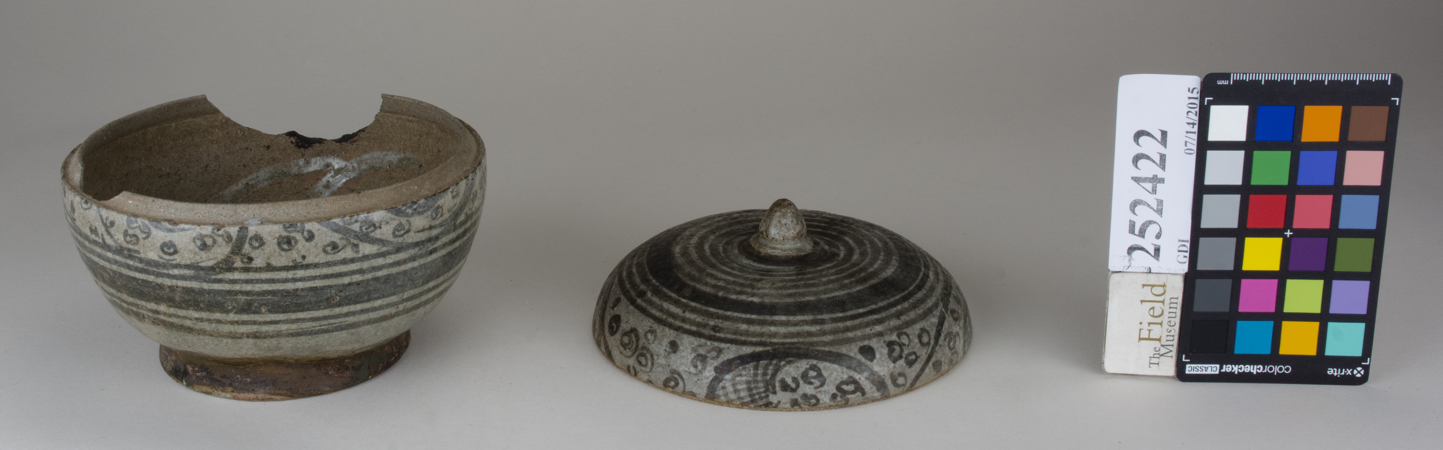 ParentFrontAngle (c) Field Museum of Natural History - CC BY-NC 4.0