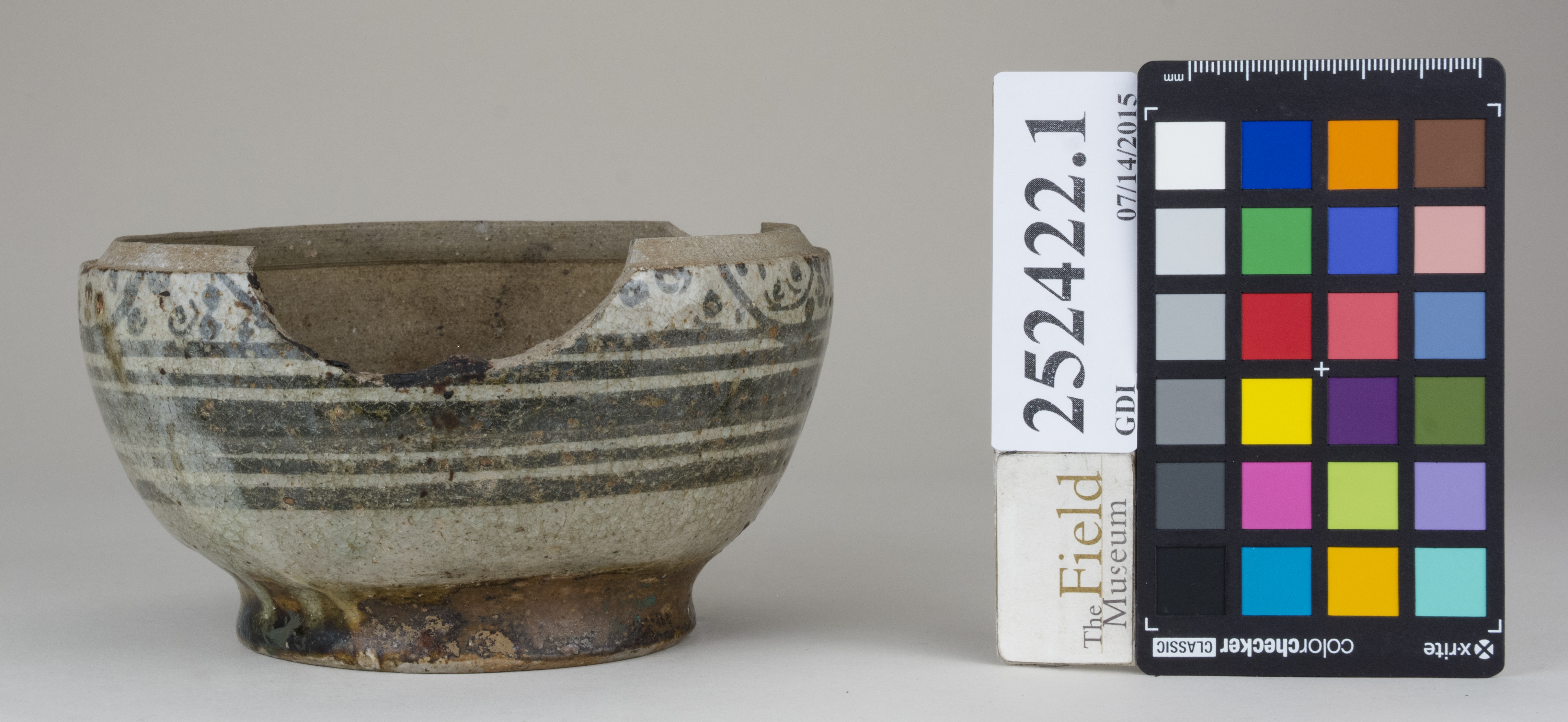 reference image, back (c) Field Museum of Natural History - CC BY-NC 4.0